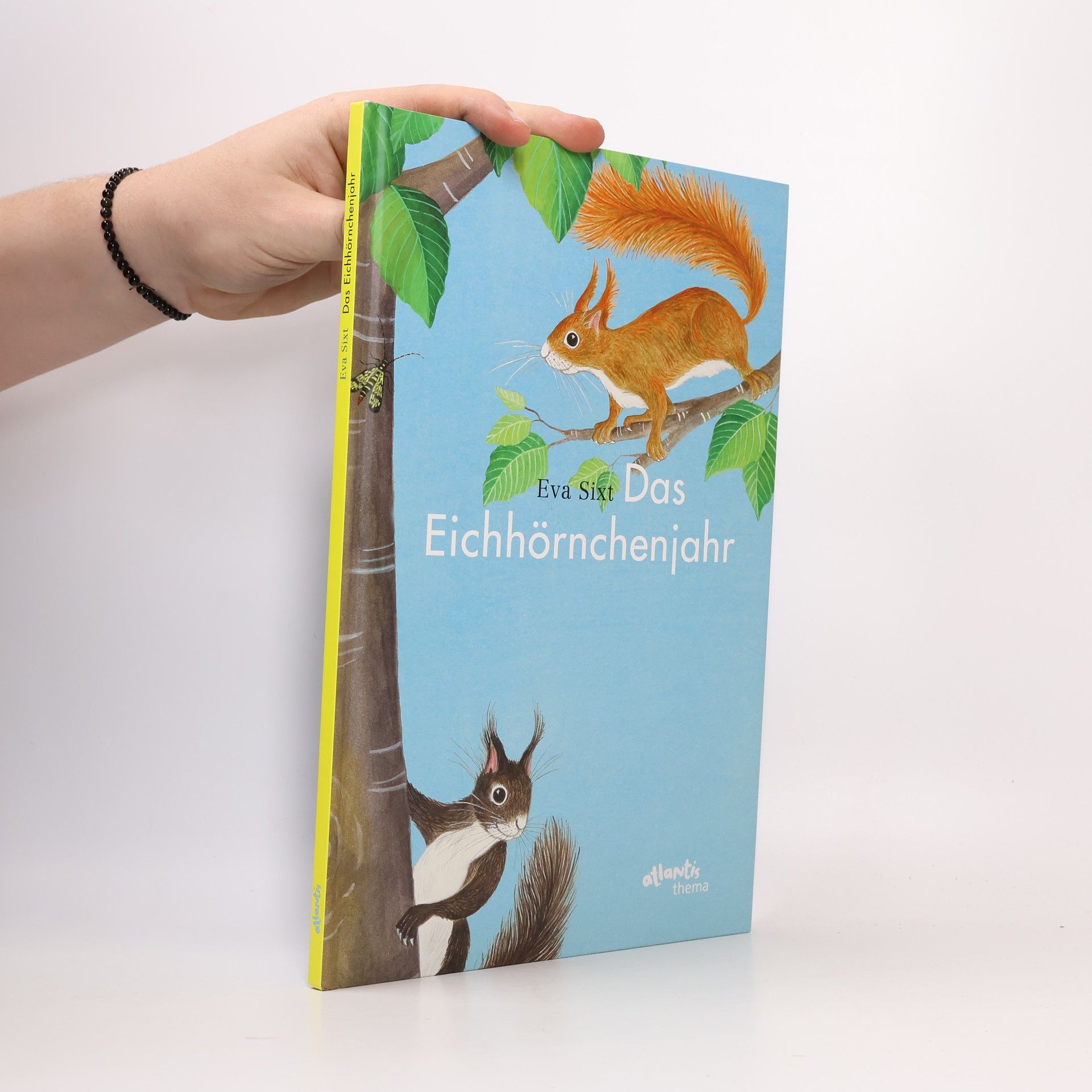 Das Eichhörnchenjahr