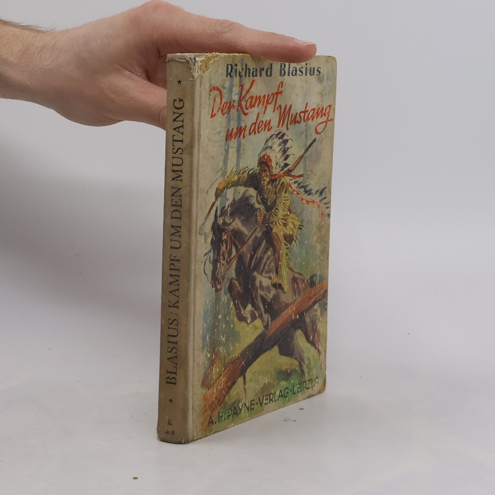 Der Kampf um der Mustang