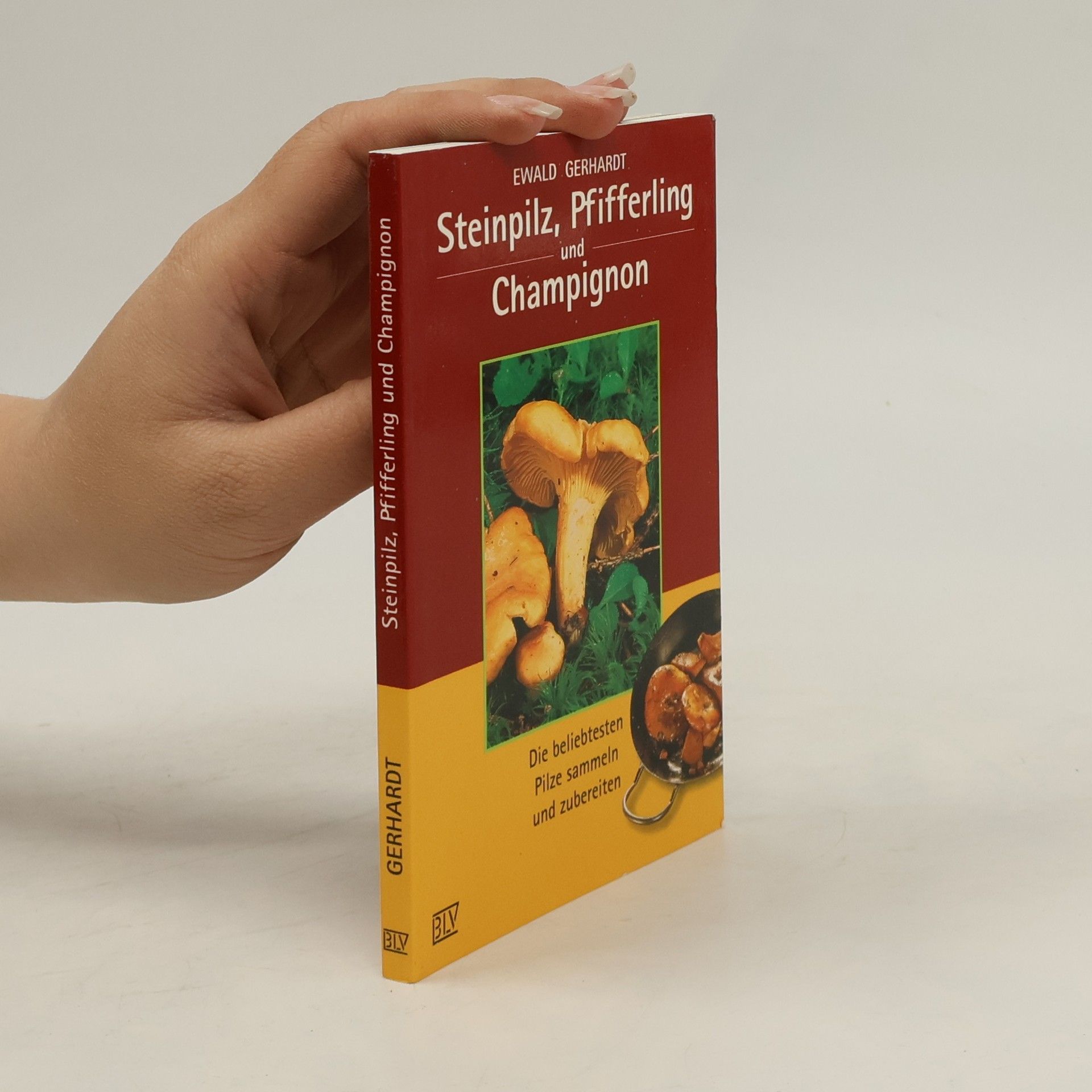 Ewald Gerhardt Steinpilz, Pfifferling und Champignon