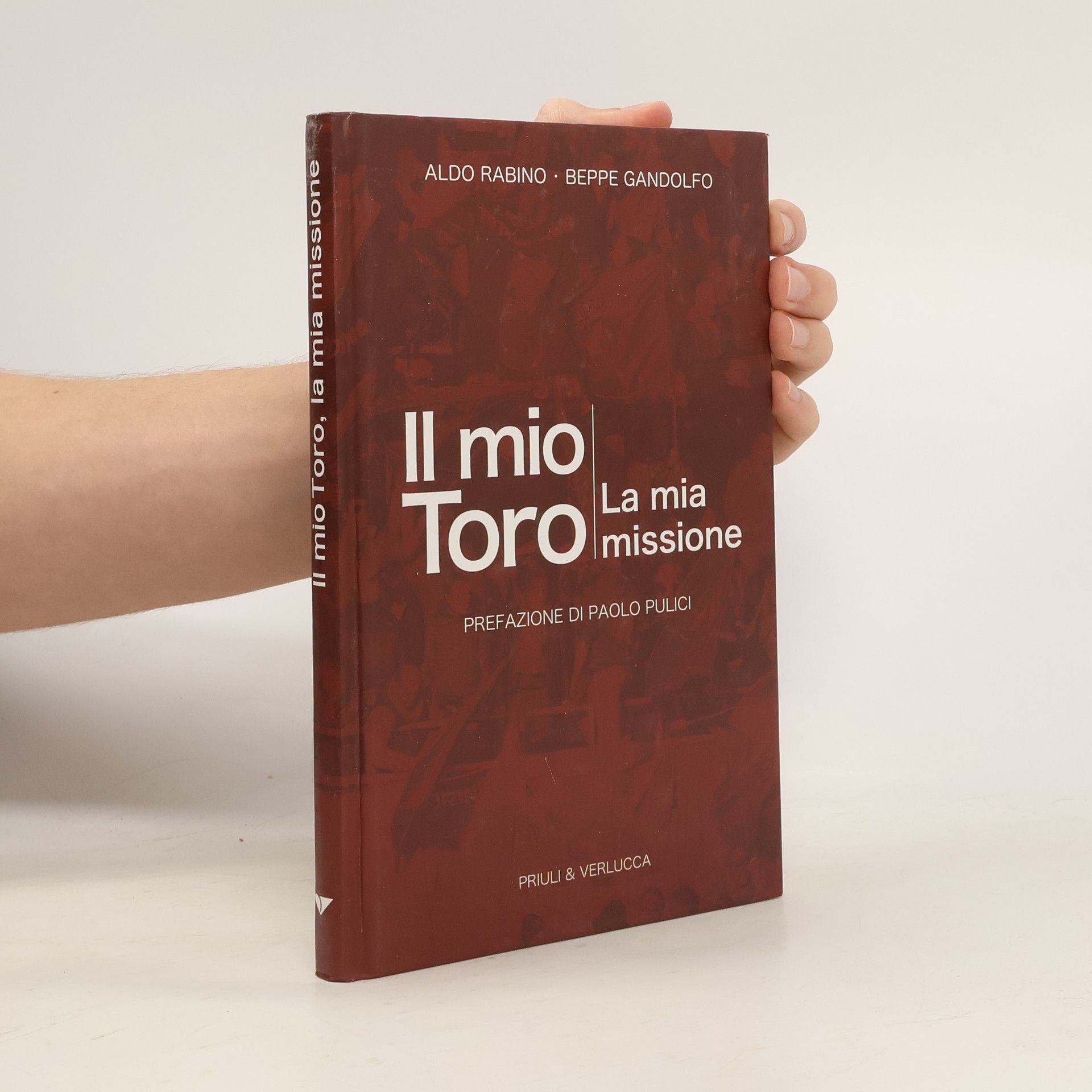 Aldo Rabino Il mio Toro - La mia missione