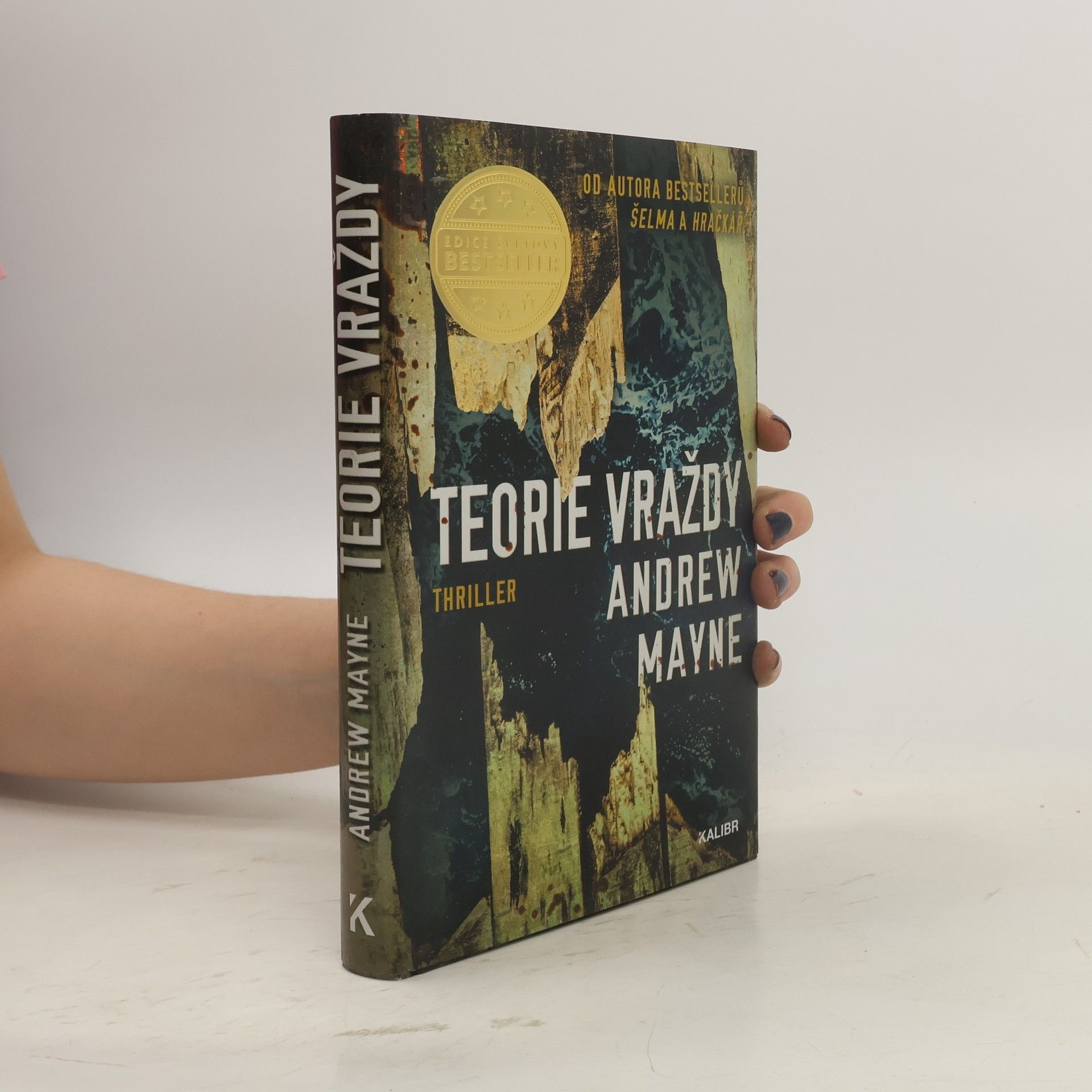 Andrew Mayne Teorie vraždy