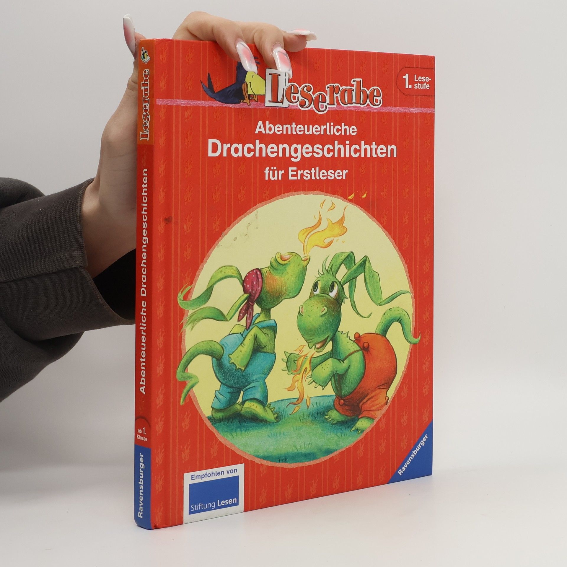 Abenteruerliche Drachengeschichten für Erstleser