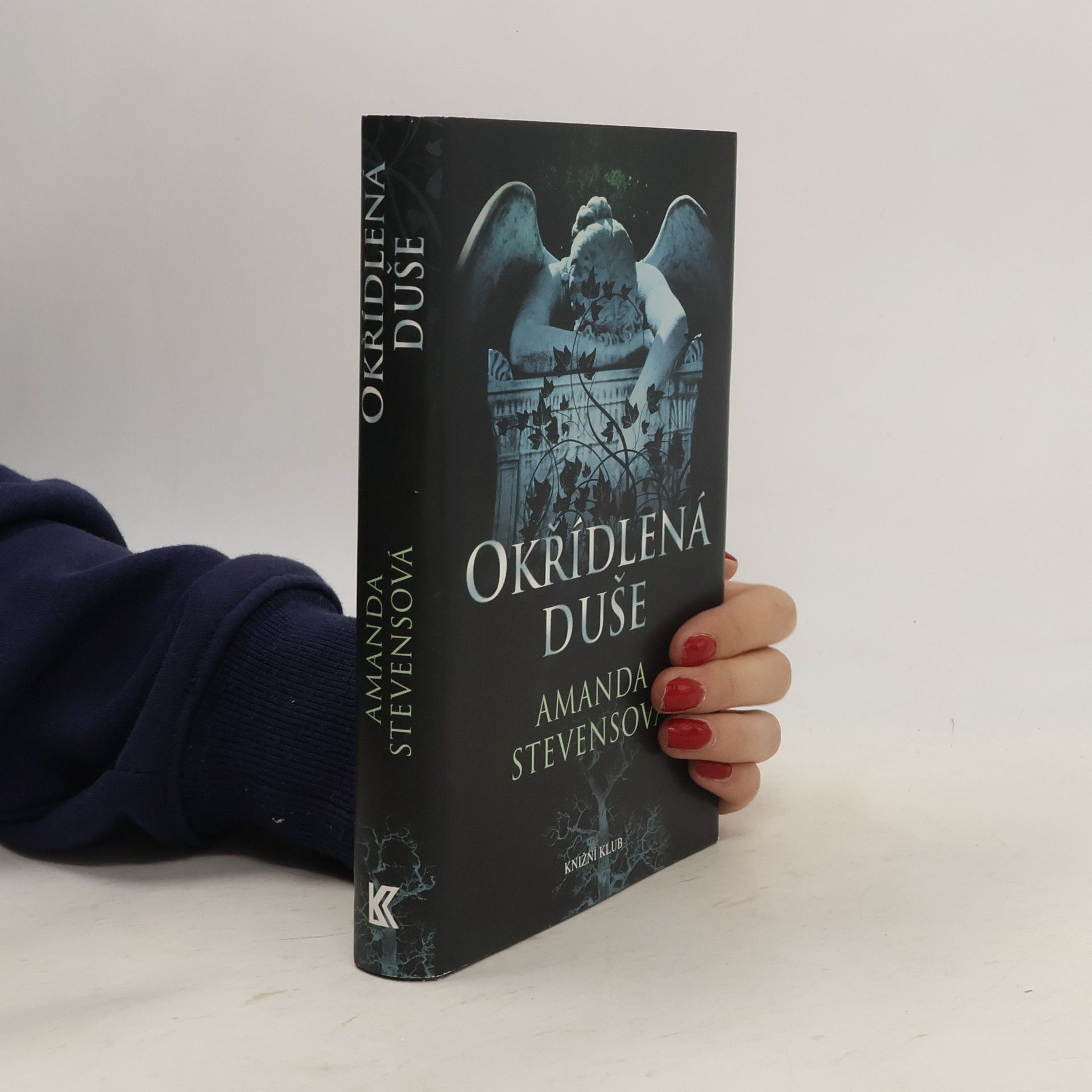 Amanda Stevens Okřídlená duše