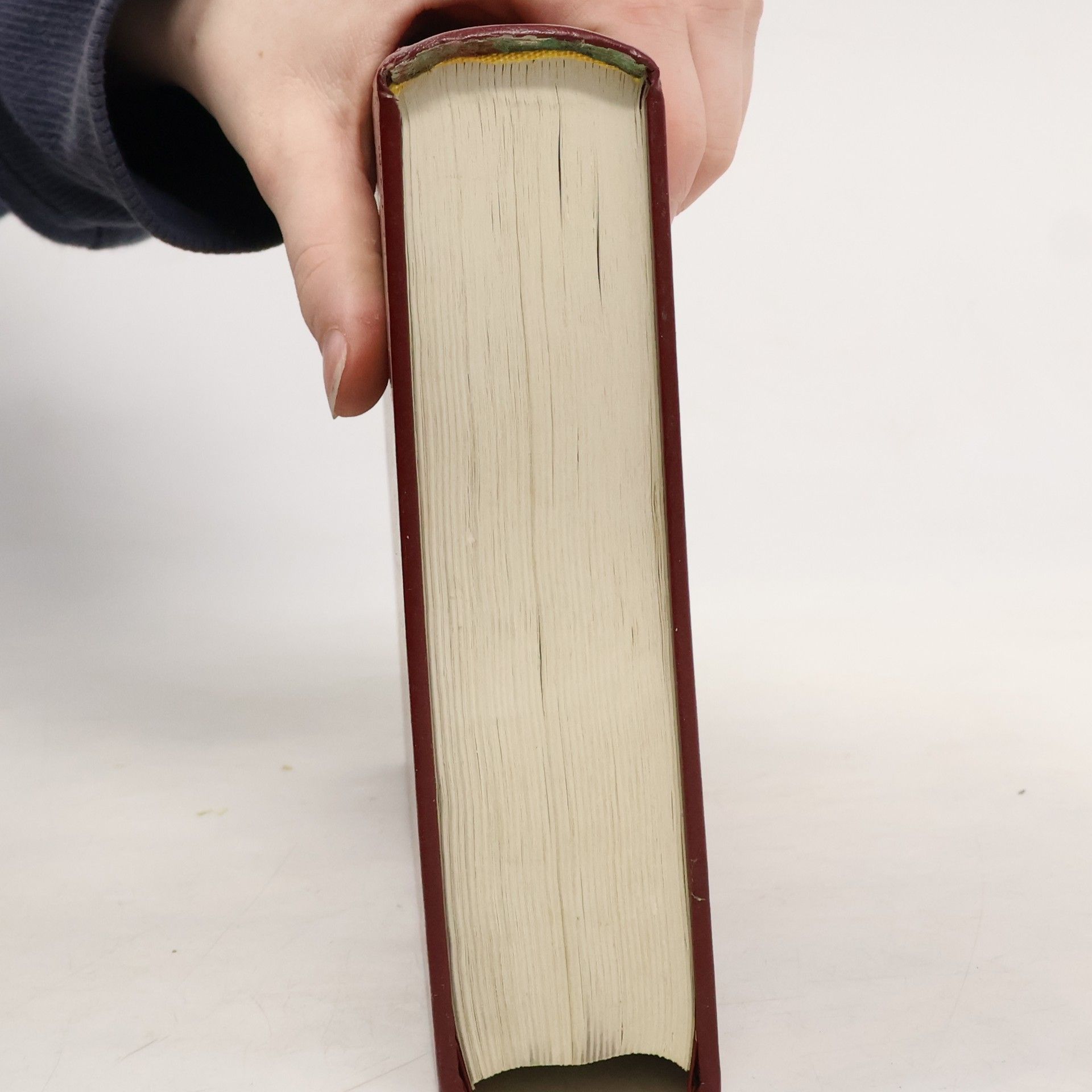 Autorenkollektiv Bible. Písmo svaté Starého i Nového zákona. Ekumenický překlad