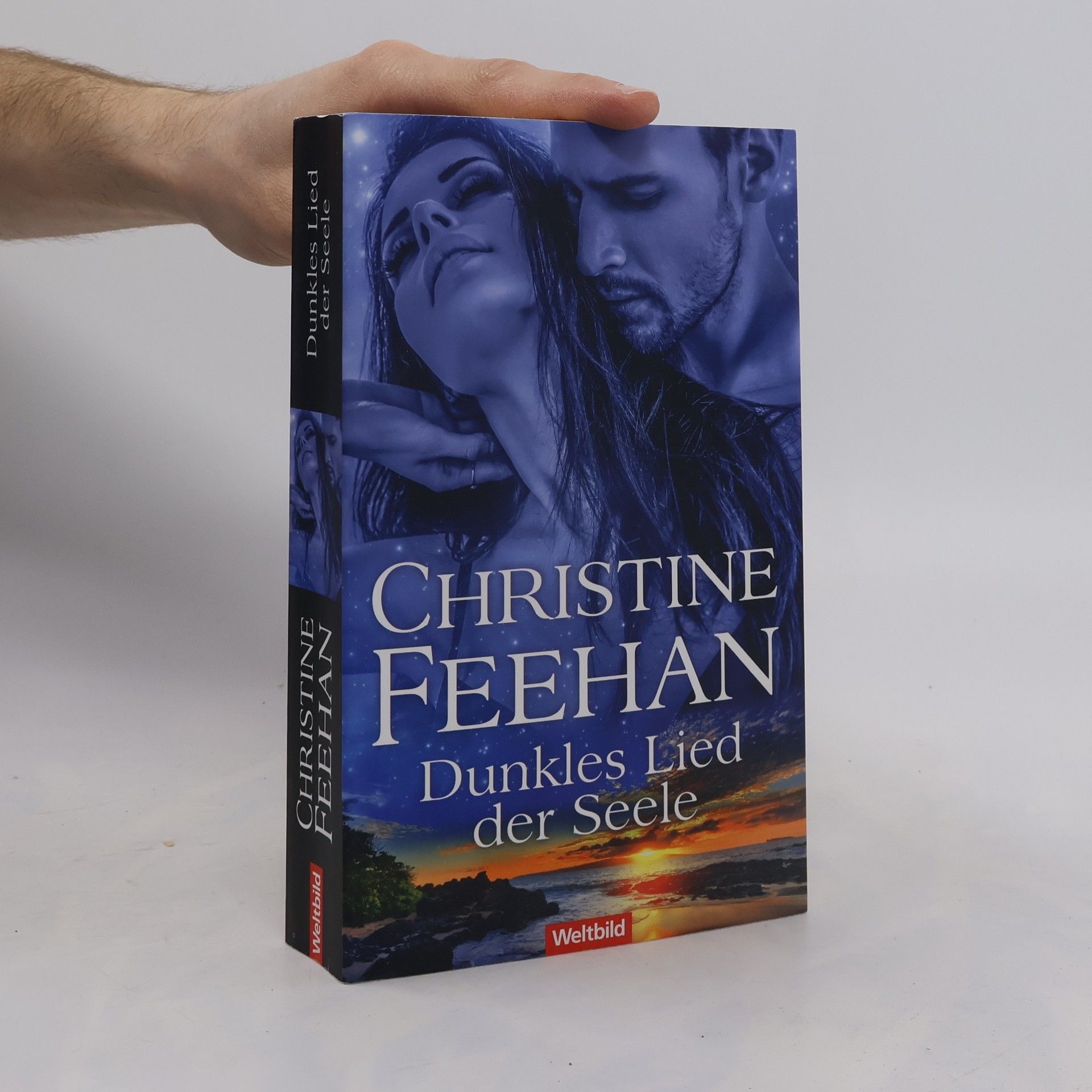 Christine Feehan Dunkles Lied der Seele