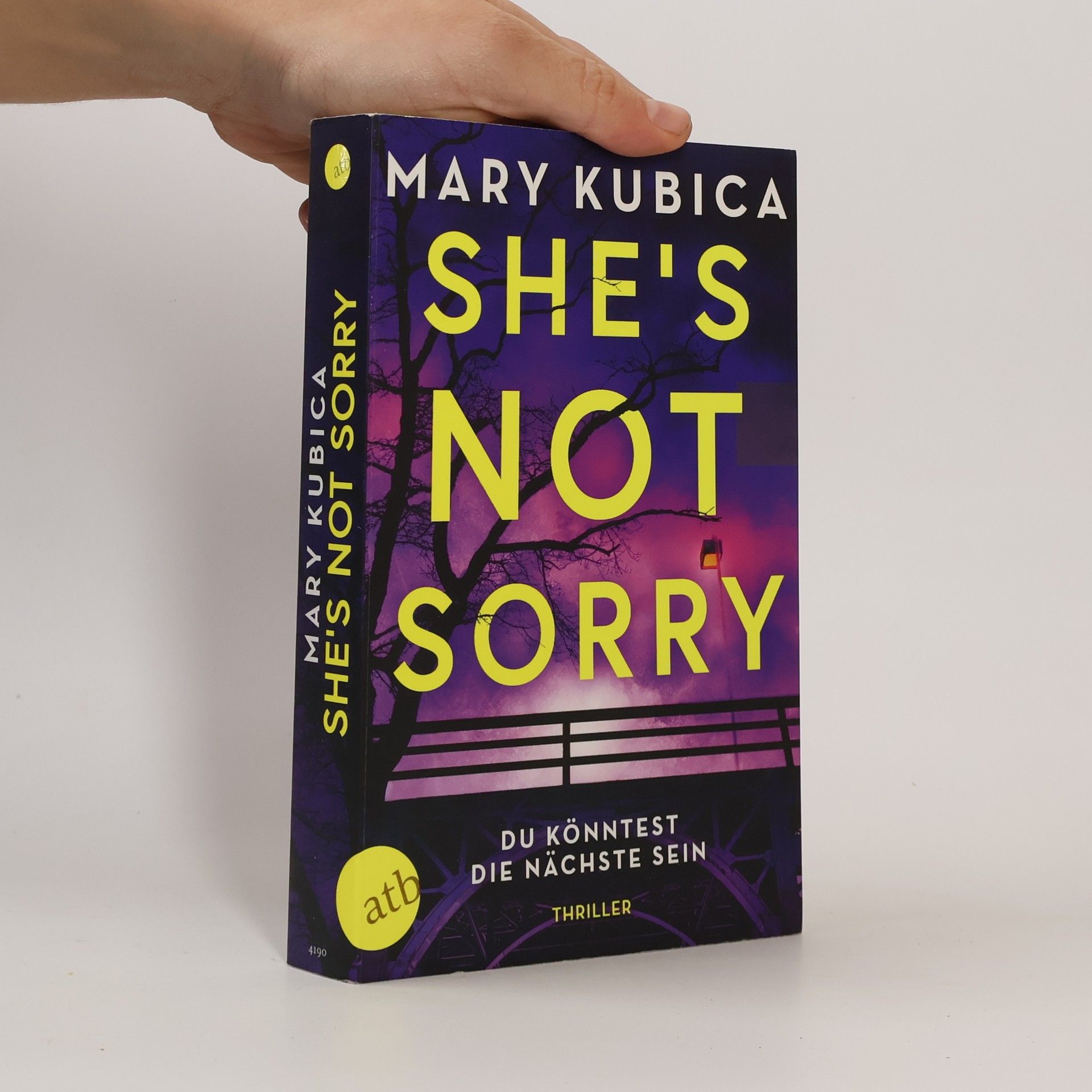 Mary Kubica She’s Not Sorry – Du könntest die Nächste sein