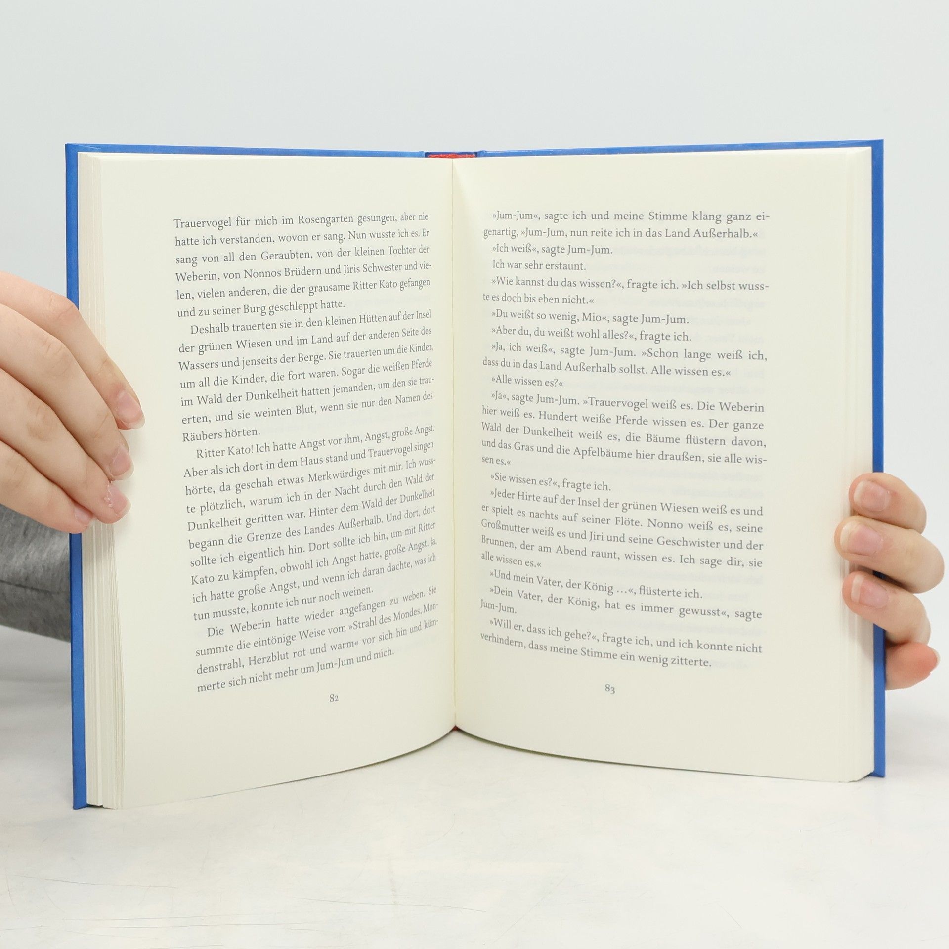Astrid Lindgren Mio, mein Mio