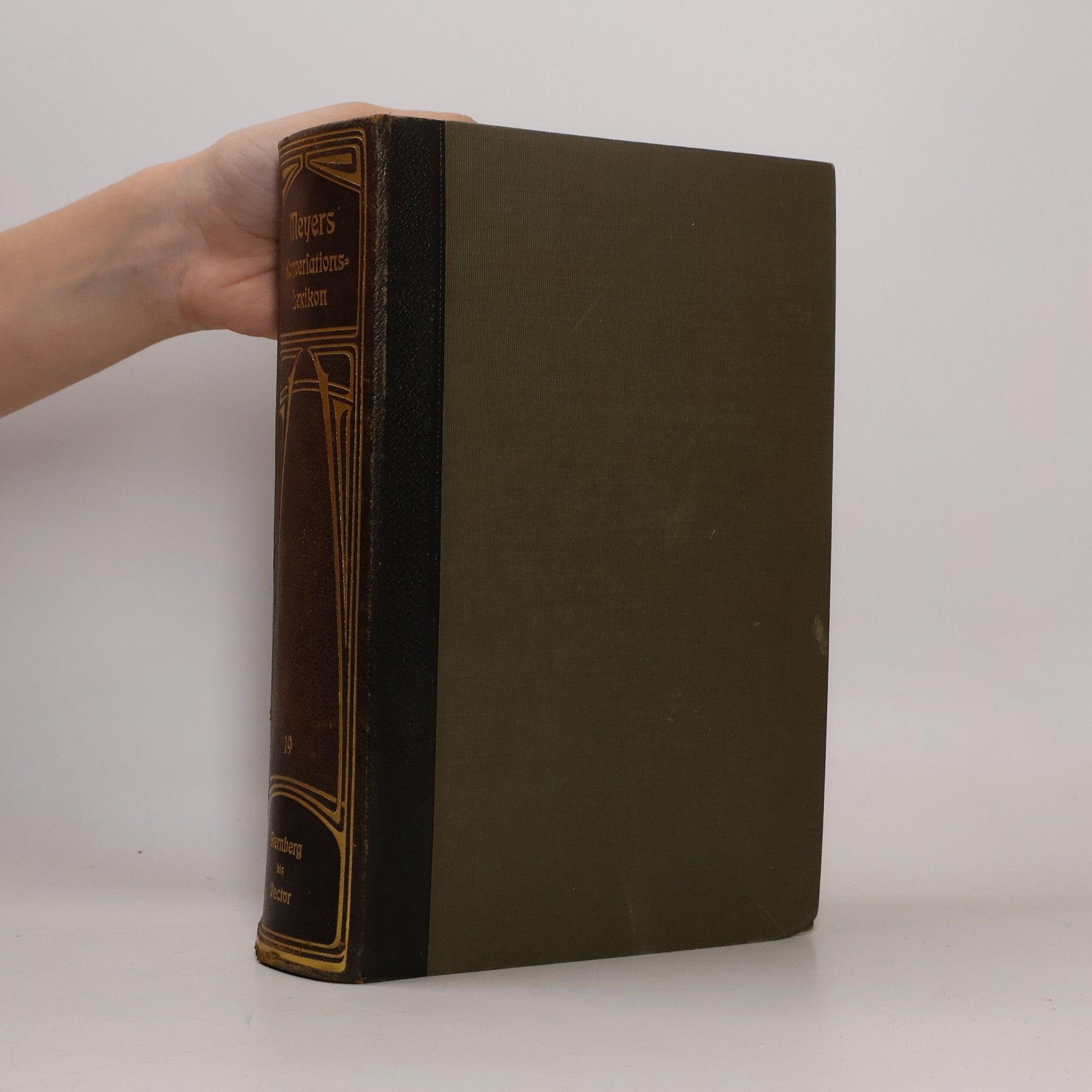 Hermann Juliues Meyer Meyers grosses Konversations-Lexikon 19