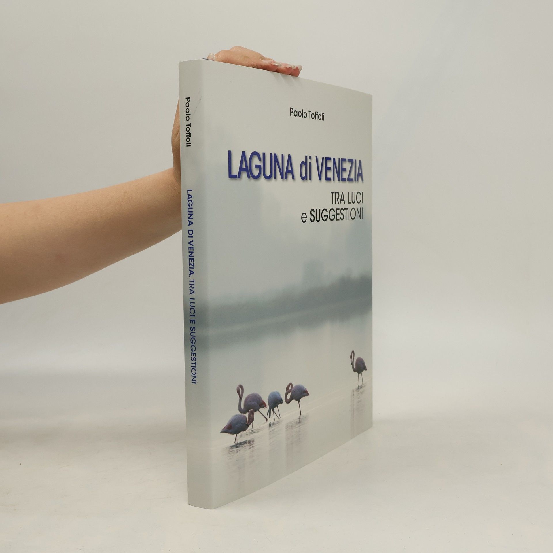 Paolo Toffoli Laguna di Venezia. Tra Luci e Suggestioni