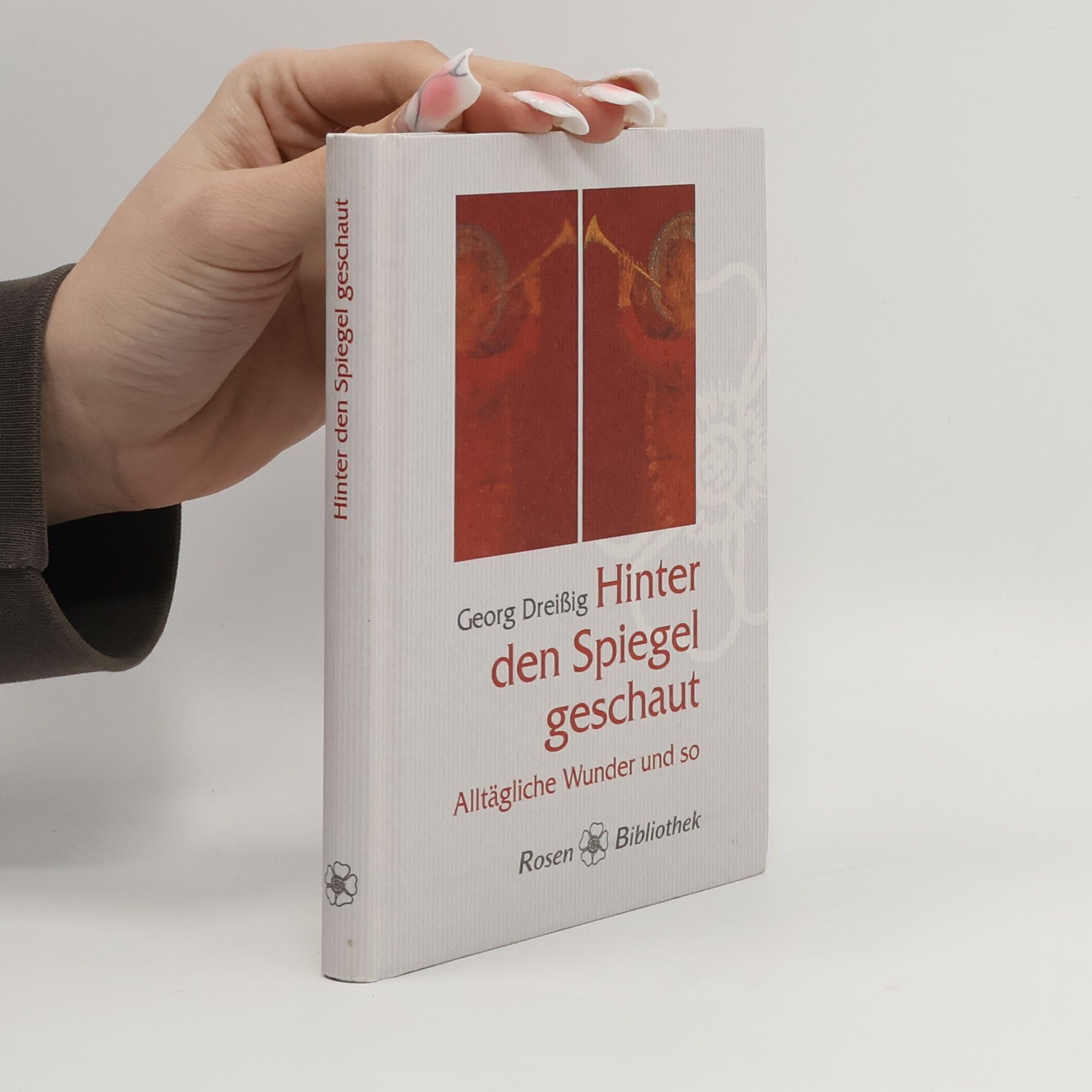 Georg Dreissig Hinter den Spiegel geschaut