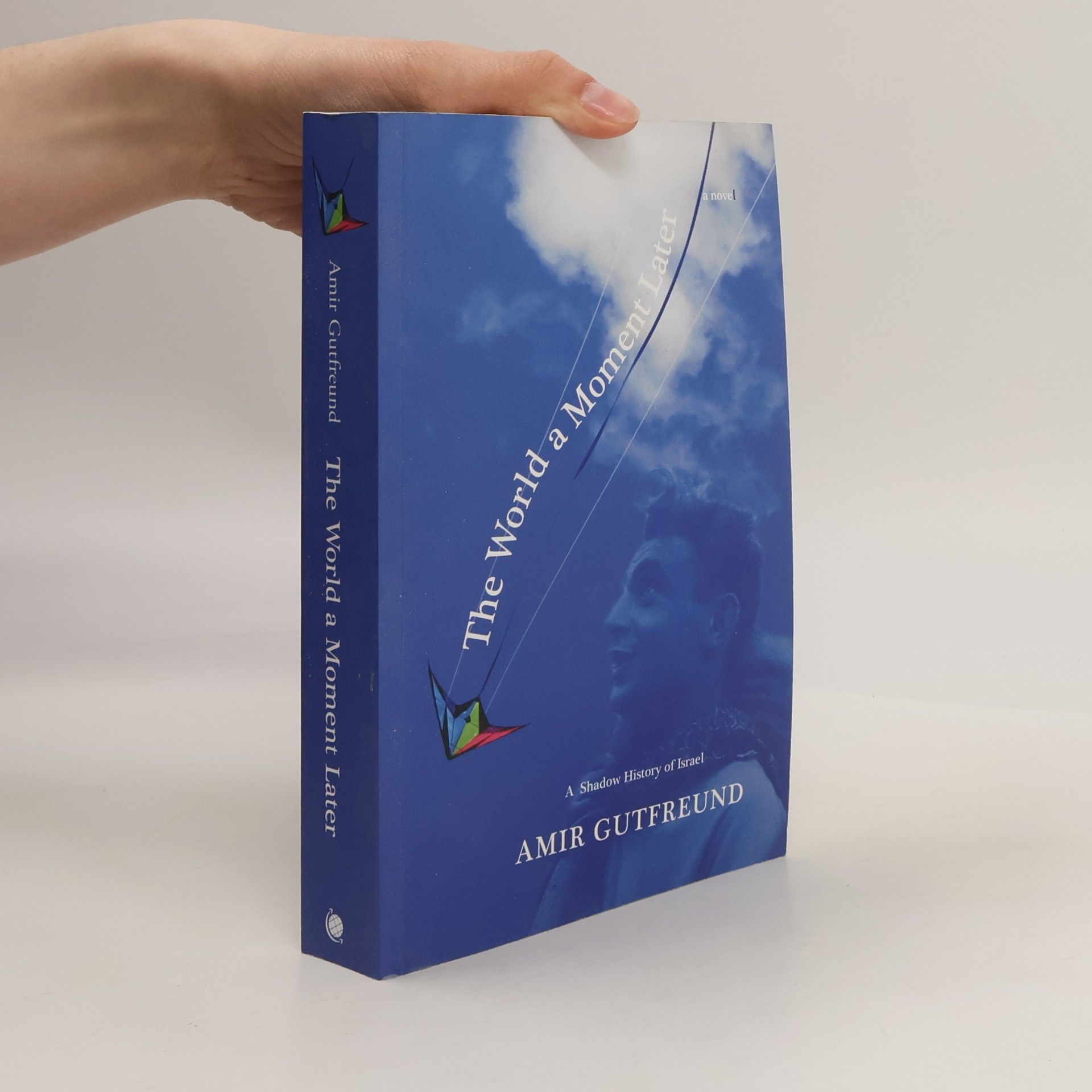 Amir Gutfreund The World a Moment Later