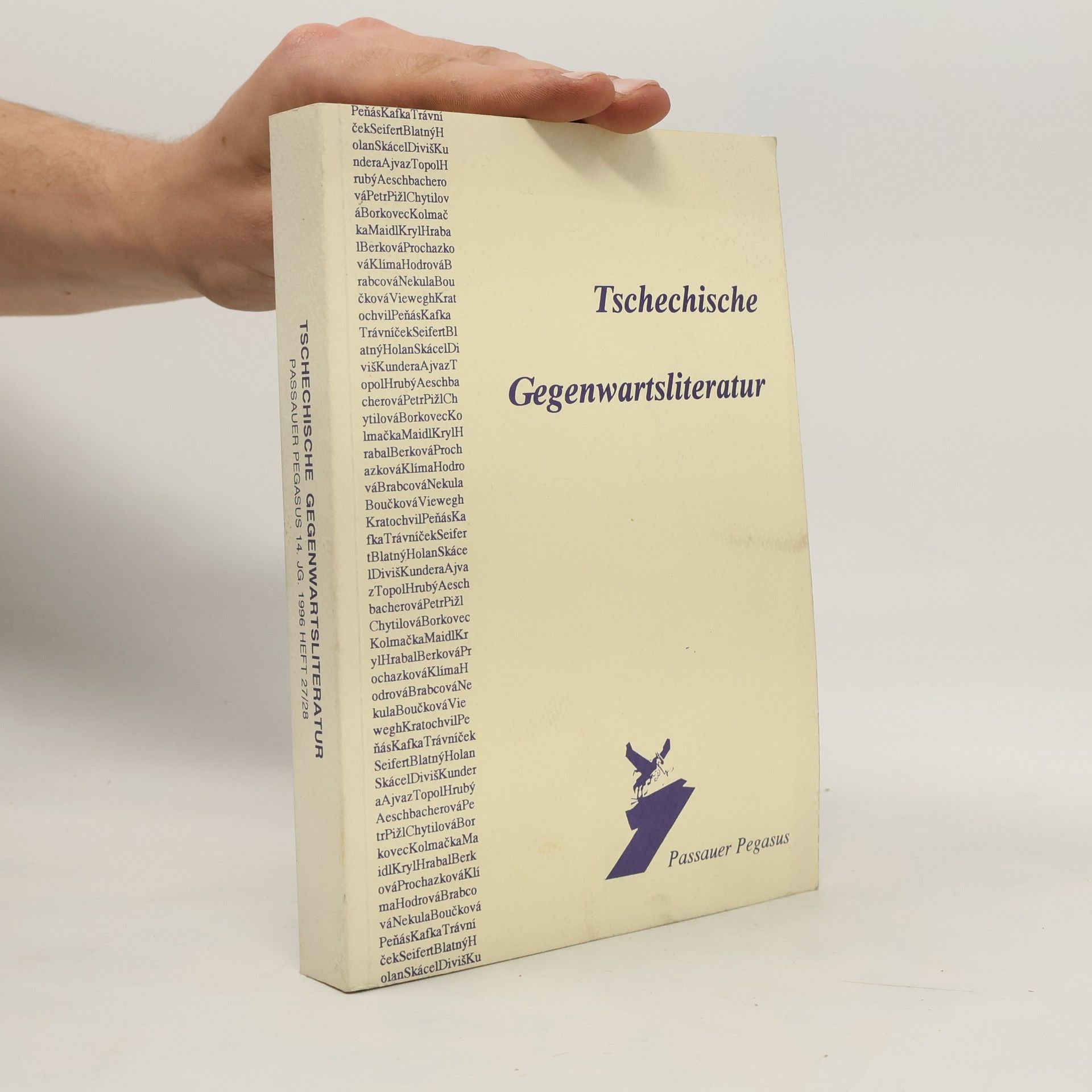 Kolektív autorov Tschechische Gegenwartsliteratur