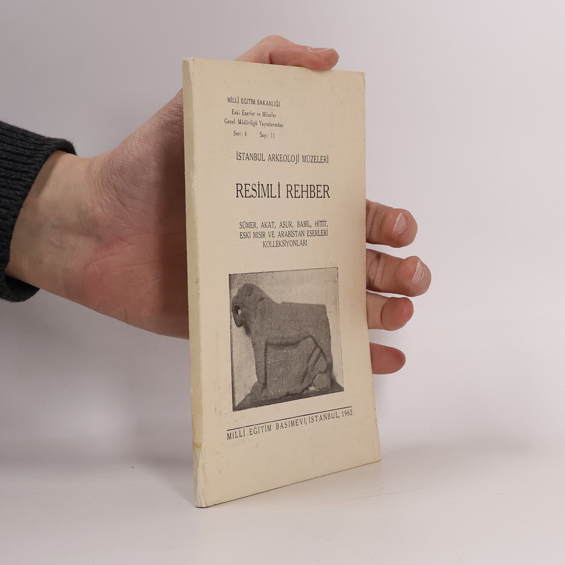 Autorenkollektiv Resimli Rehber