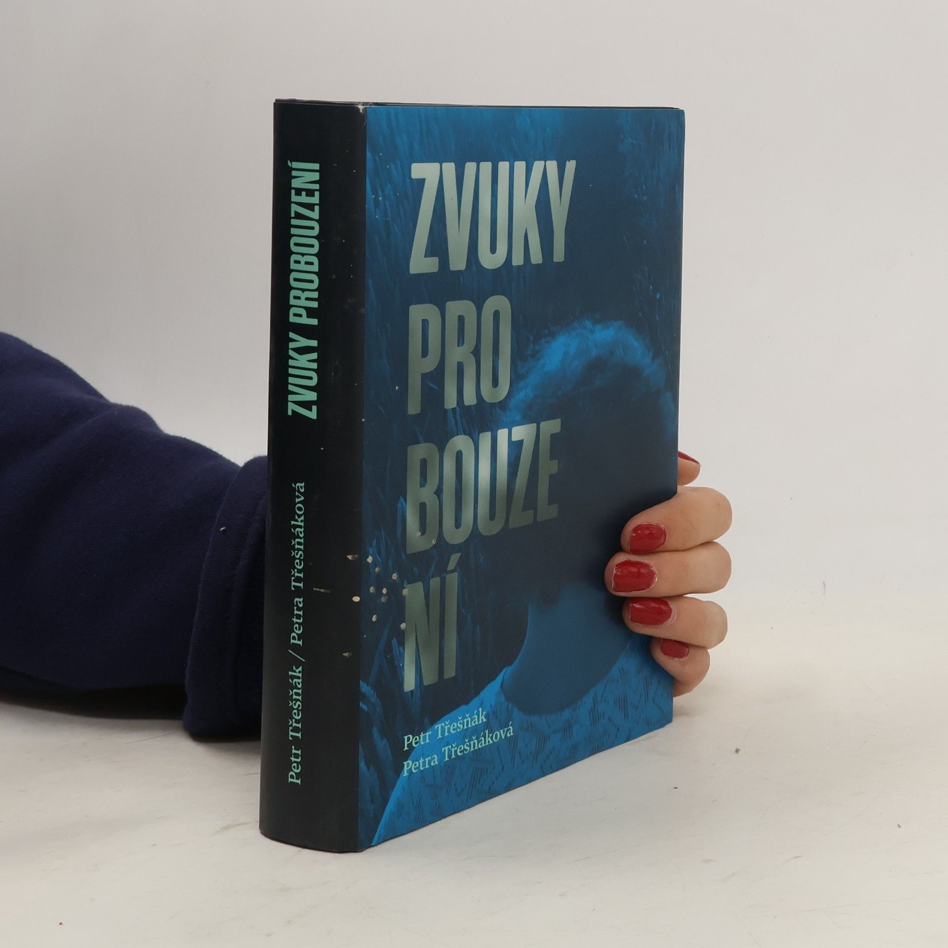 Petr Třešňák Zvuky probouzení