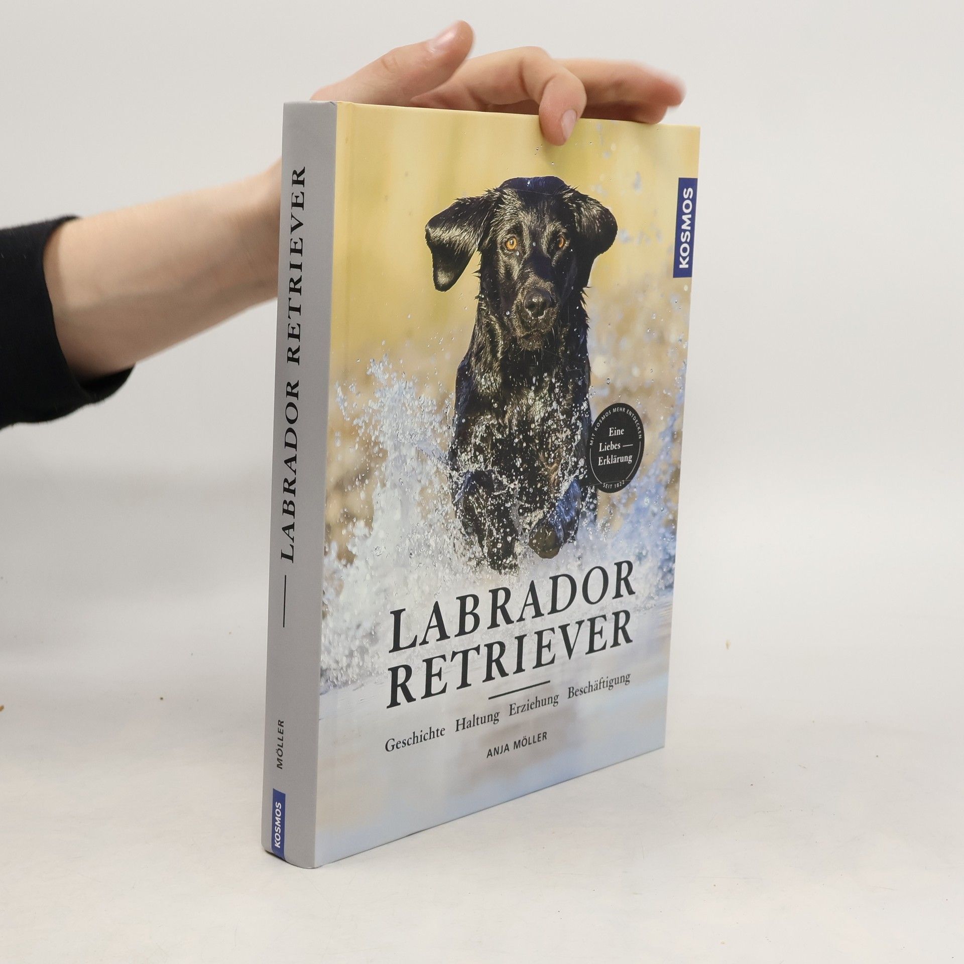 Anja Möller Labrador Retriever