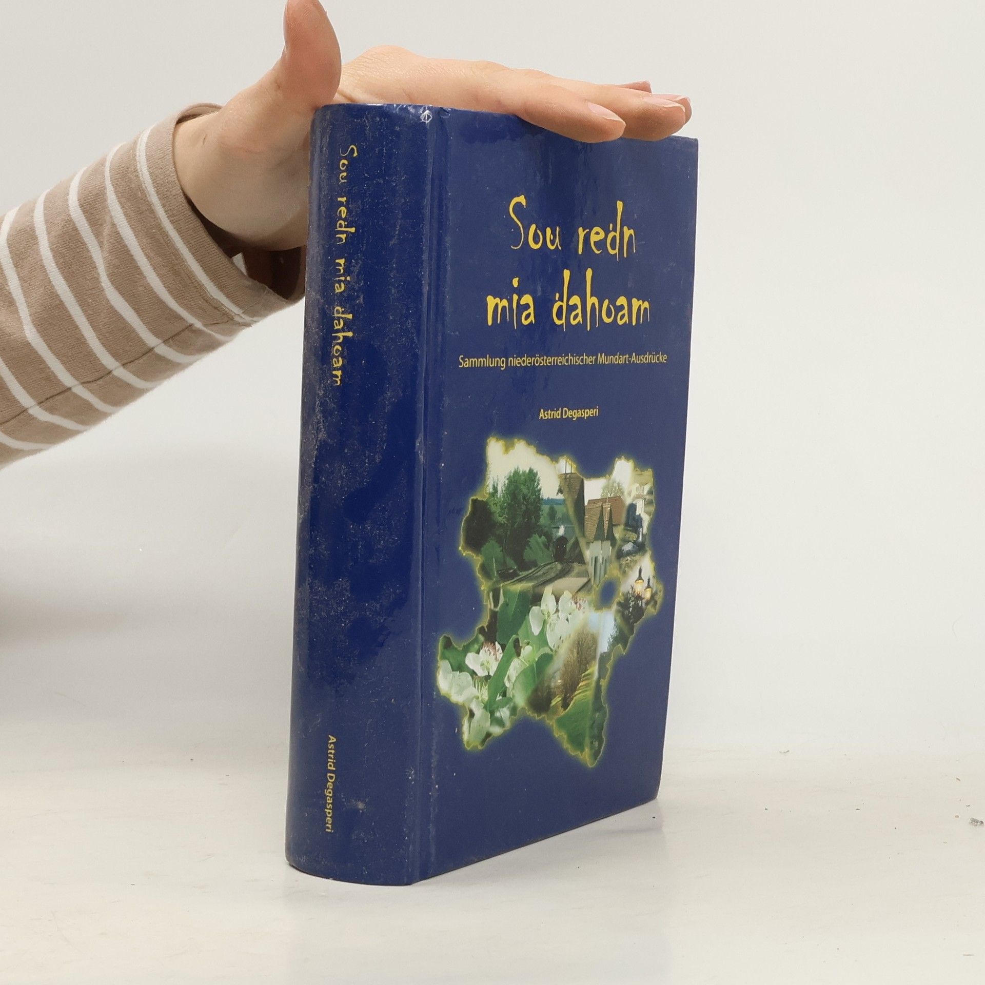 Astrid Degasperi Sou redn mia dahoam