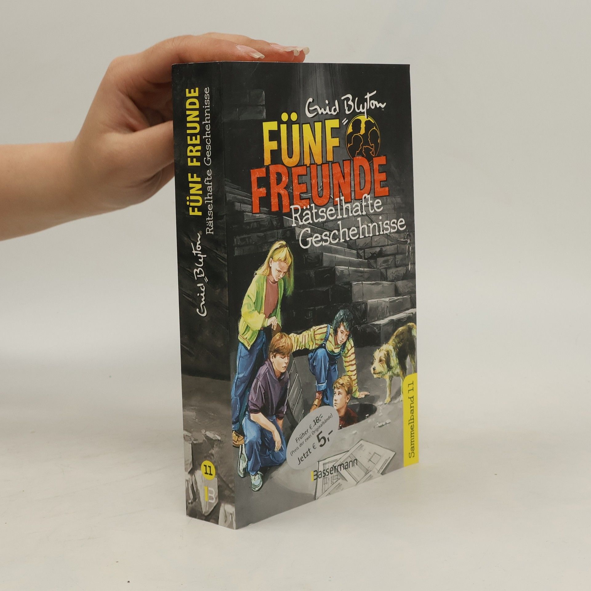 Enid Blyton Fünf Freunde - rätselhafte Geschehnisse