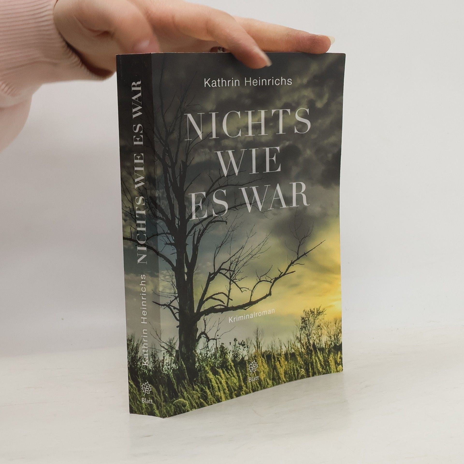 Kathrin Heinrichs Nichts wie es war