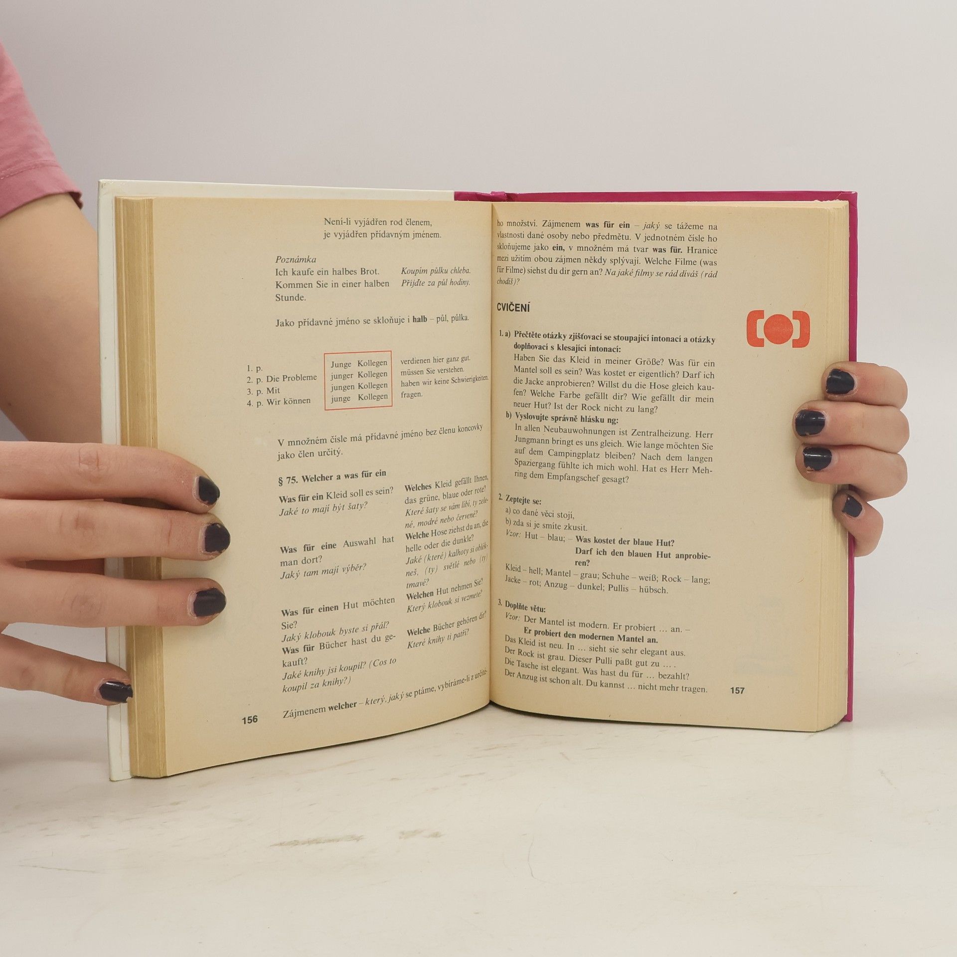 Věra Höppnerová Němčina pro jazykové školy. 1