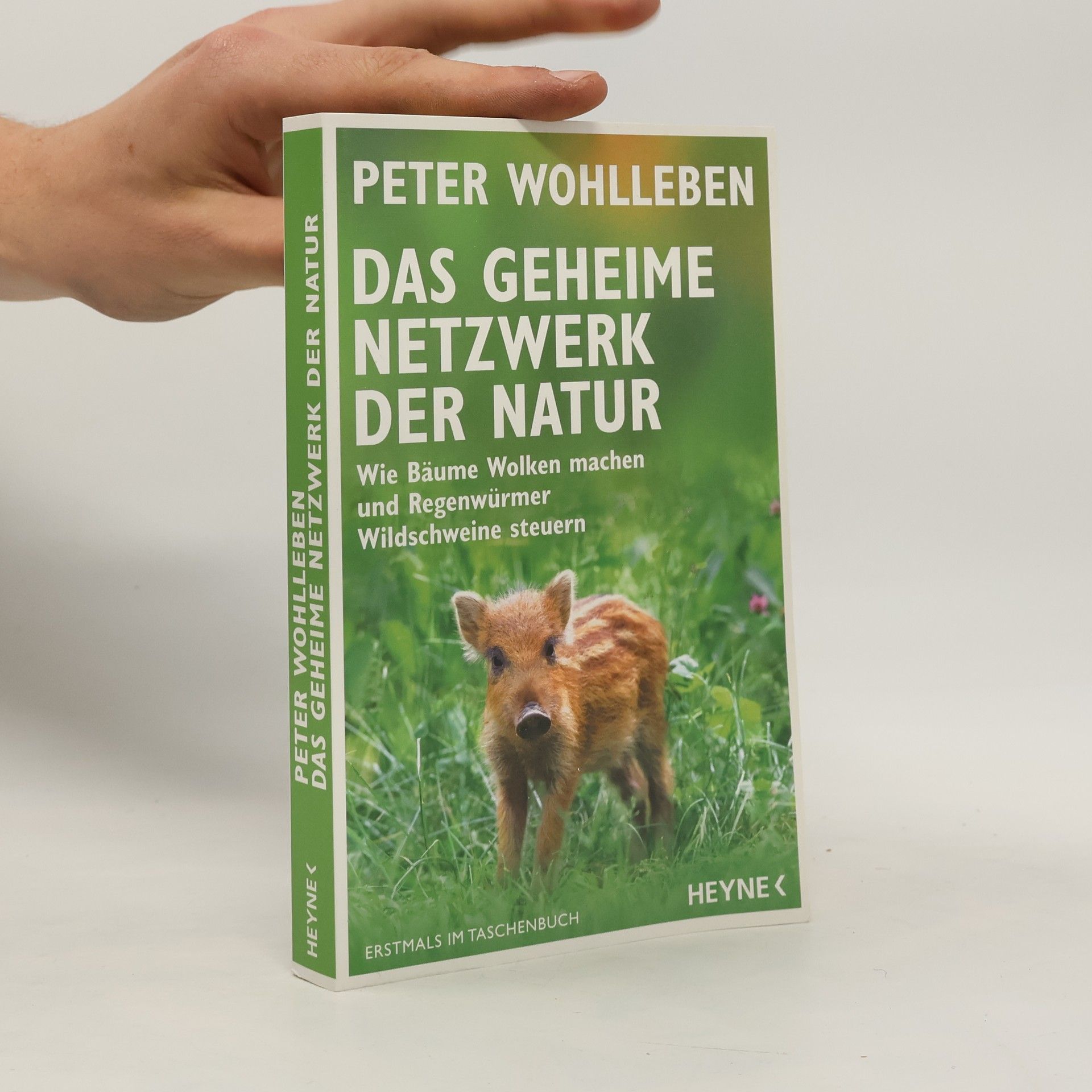 Wohlleben Peter Das geheime Netzwerk der Natur