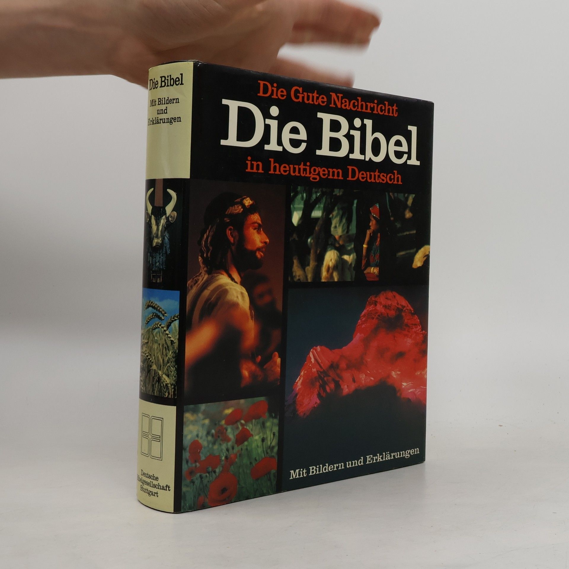 AA.VV. Die Bibel in heutigem Deutsch