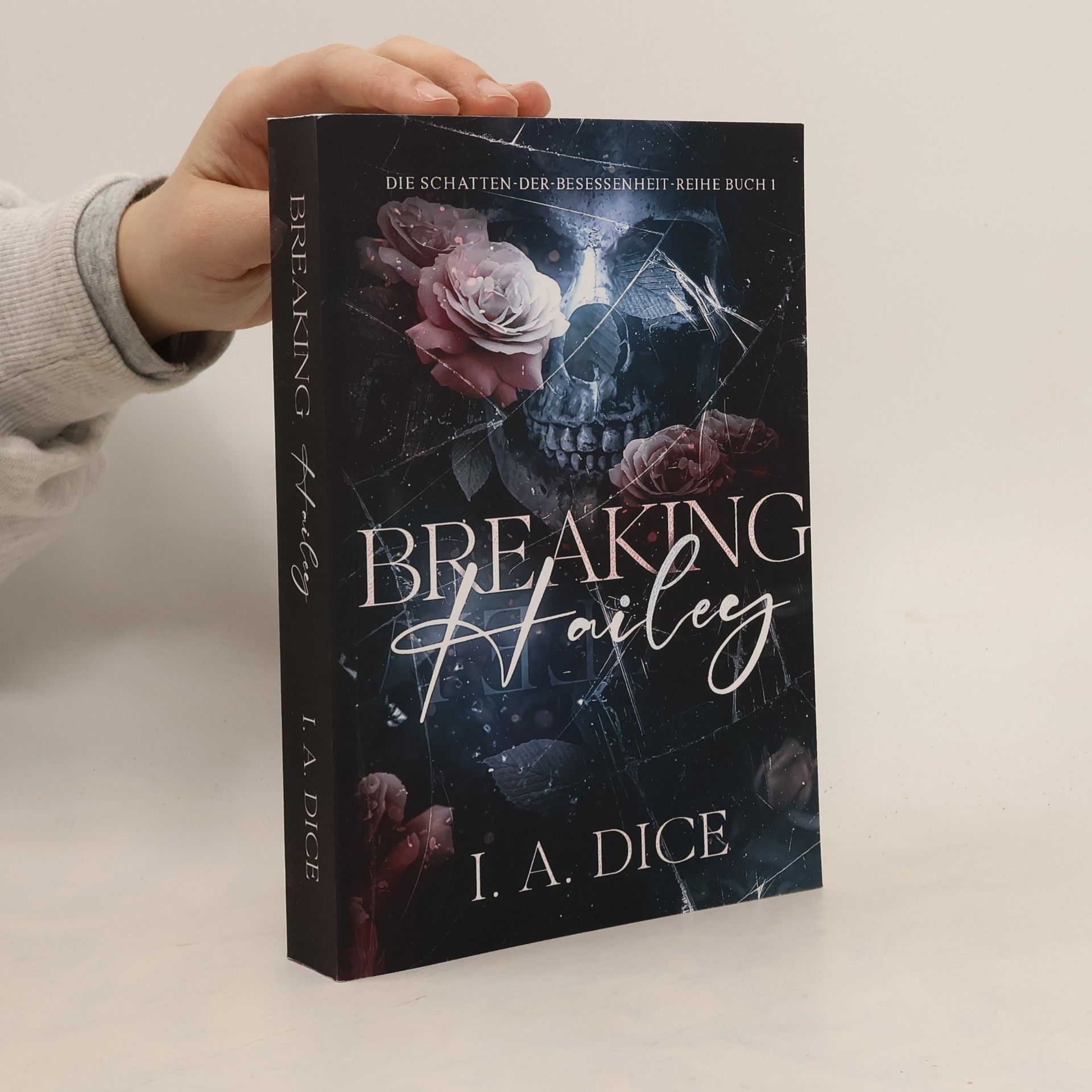 Die Schatten der Besessenheit - 1: Breaking Hailey