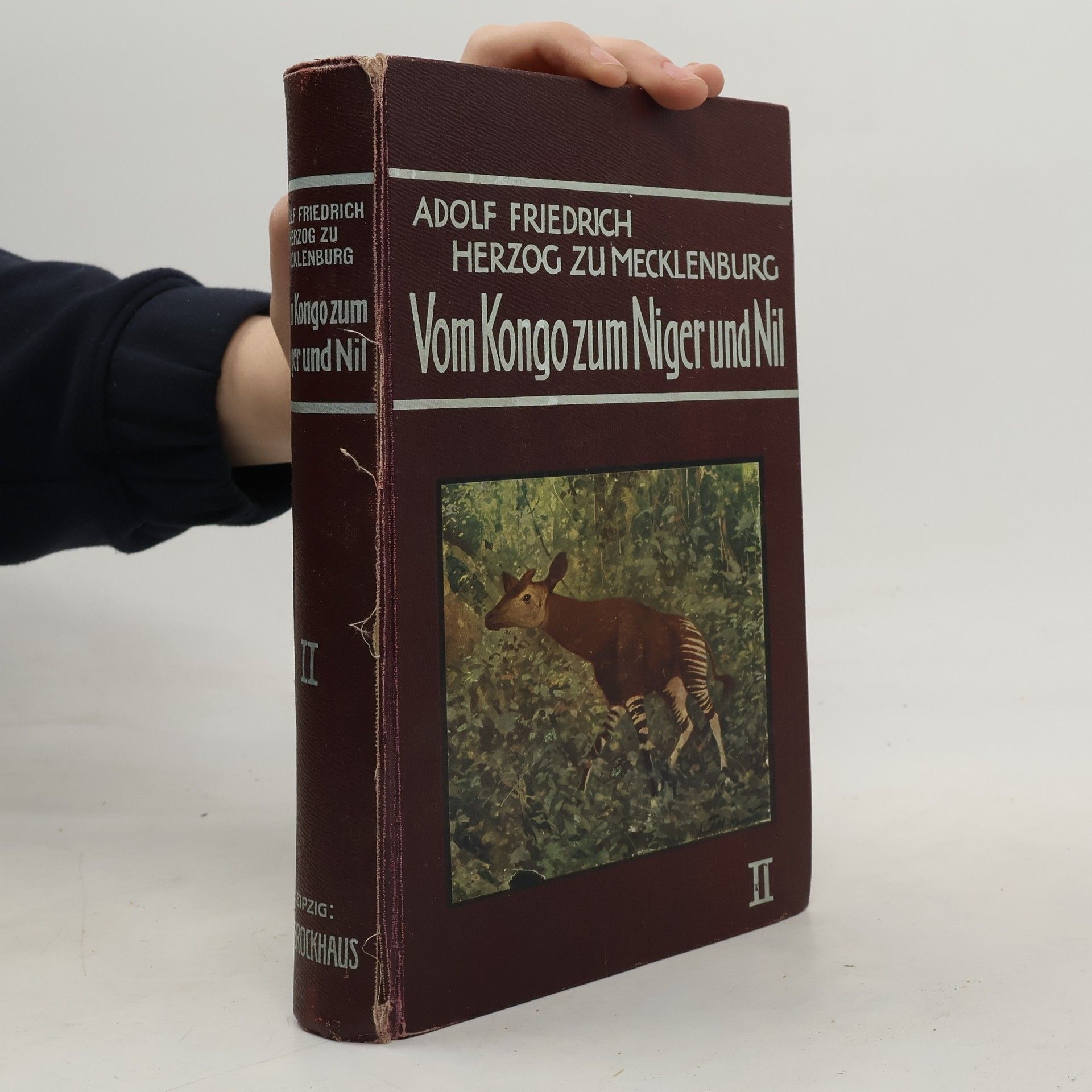 Adolf Friedrich Vom Kongo zum Niger und Nil II.