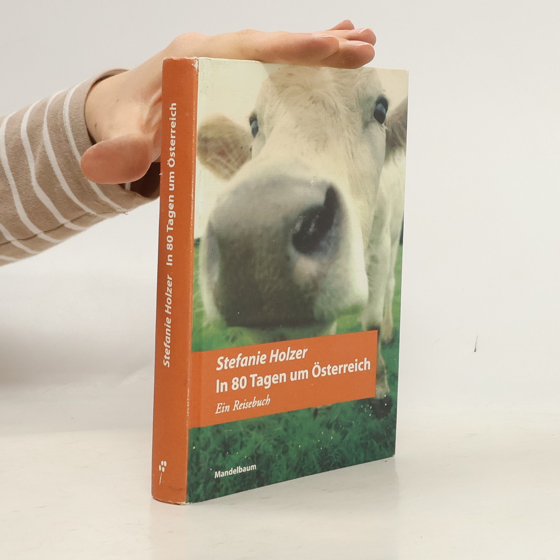 Stefanie Holzer In 80 Tagen um Österreich