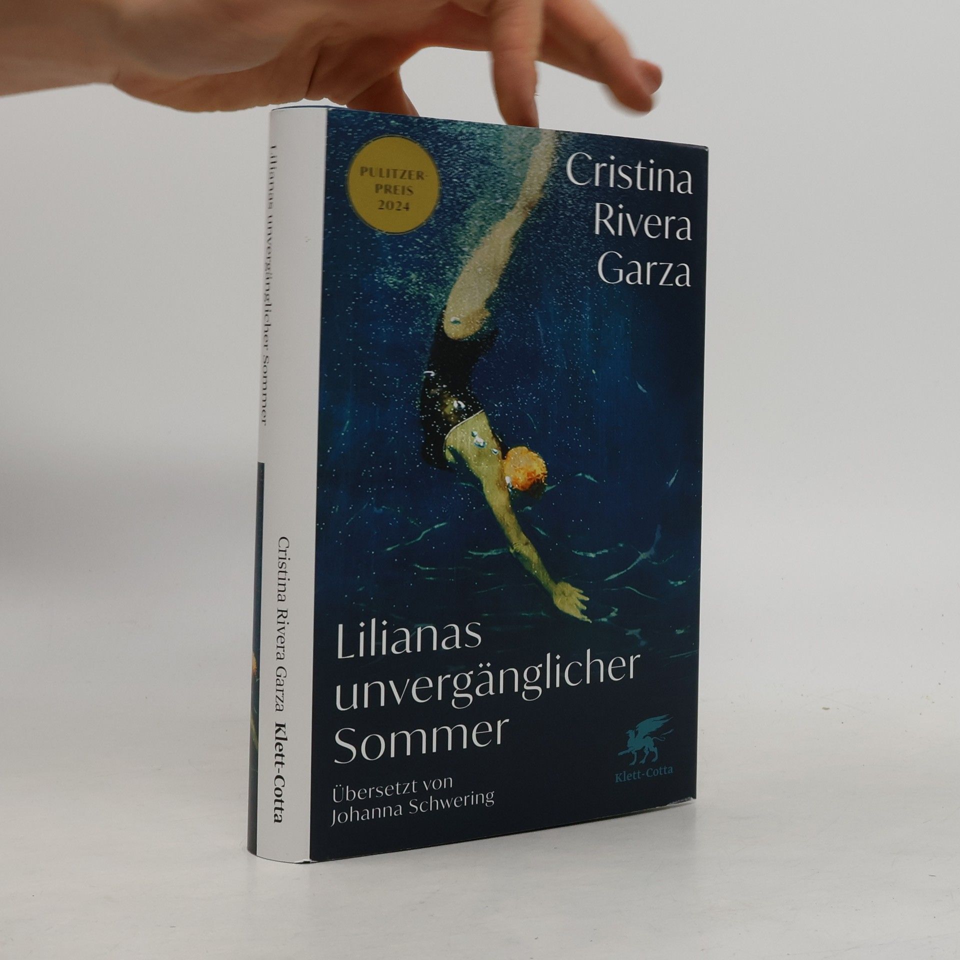 Cristina Rivera Garza Lilianas unvergänglicher Sommer