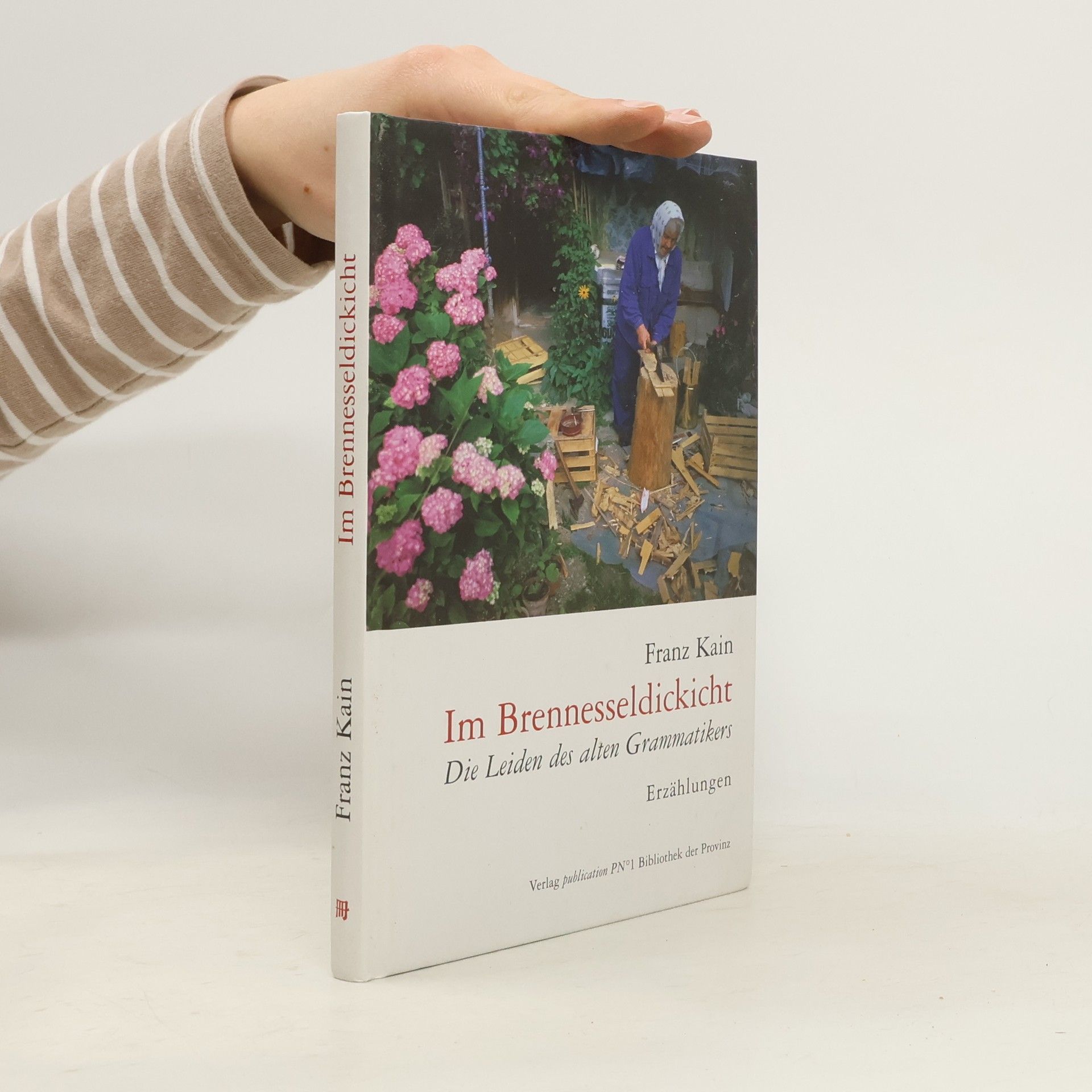 Bibliothek der Provinz: Im Brennesseldickicht