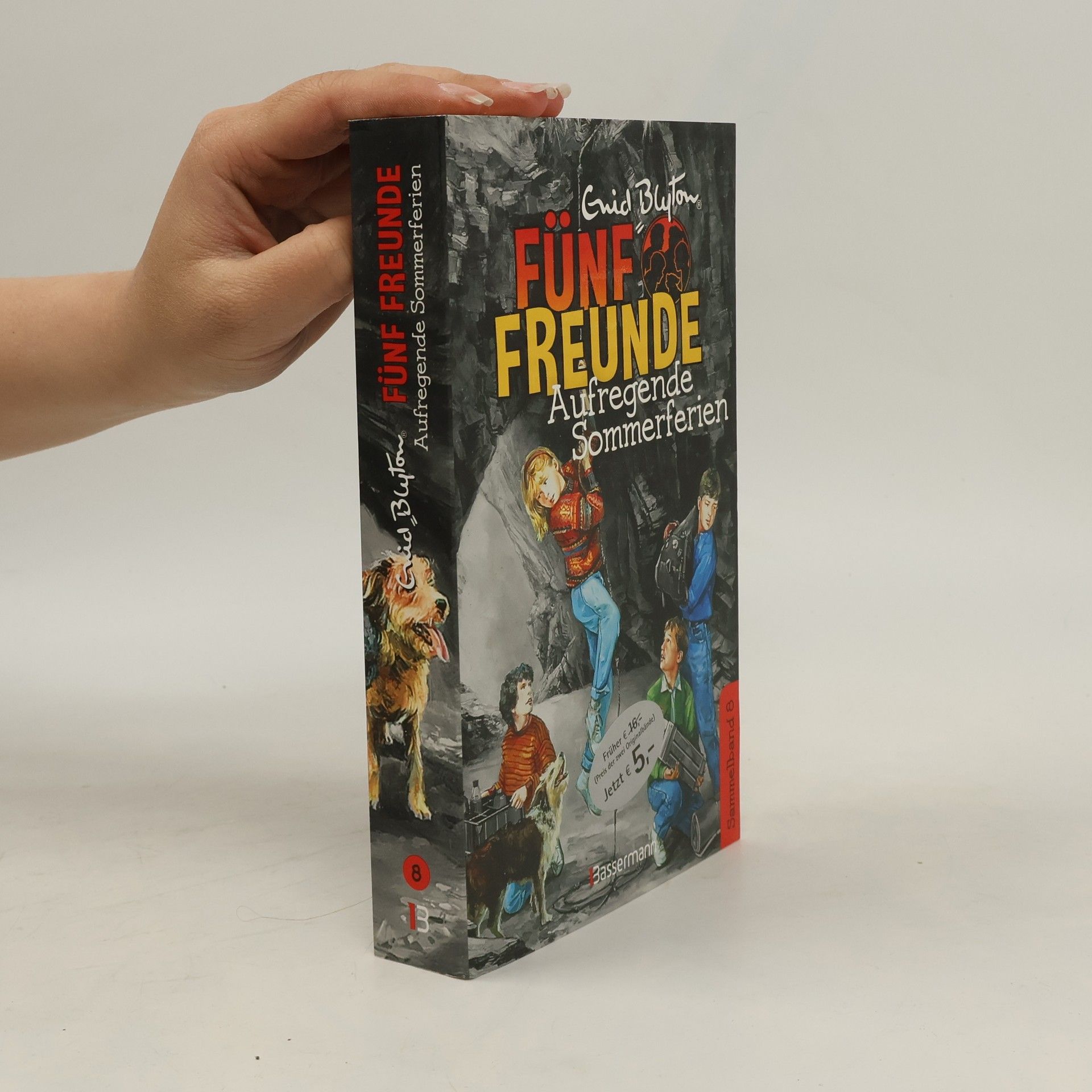 Enid Blyton Fünf Freunde. Aufregende Sommerferien