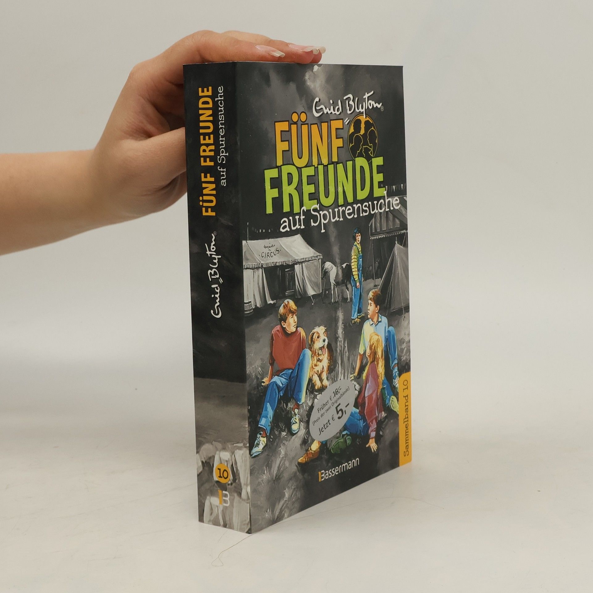 Enid Blyton Fünf Freunde auf Spurensuche