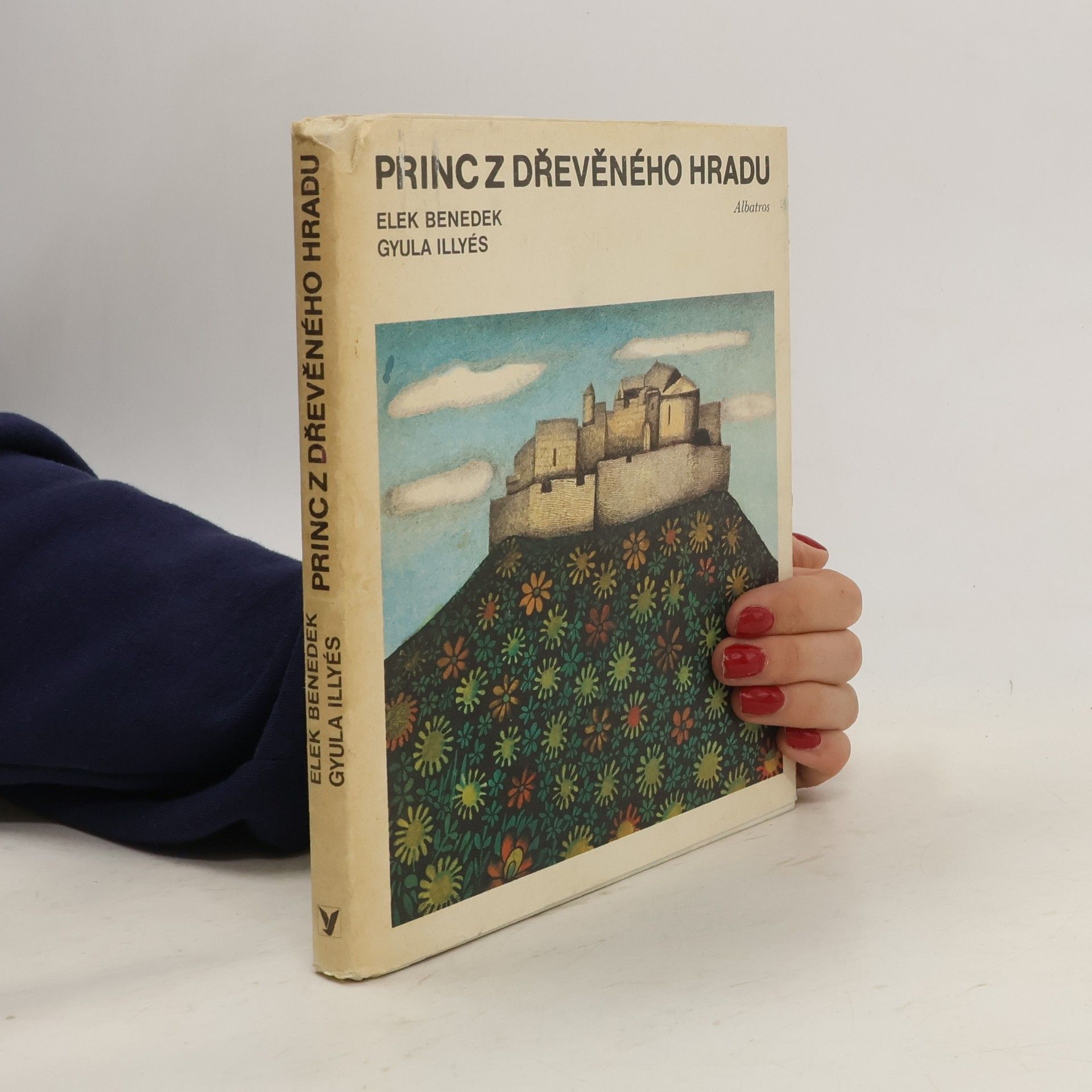 Princ z dřevěného hradu