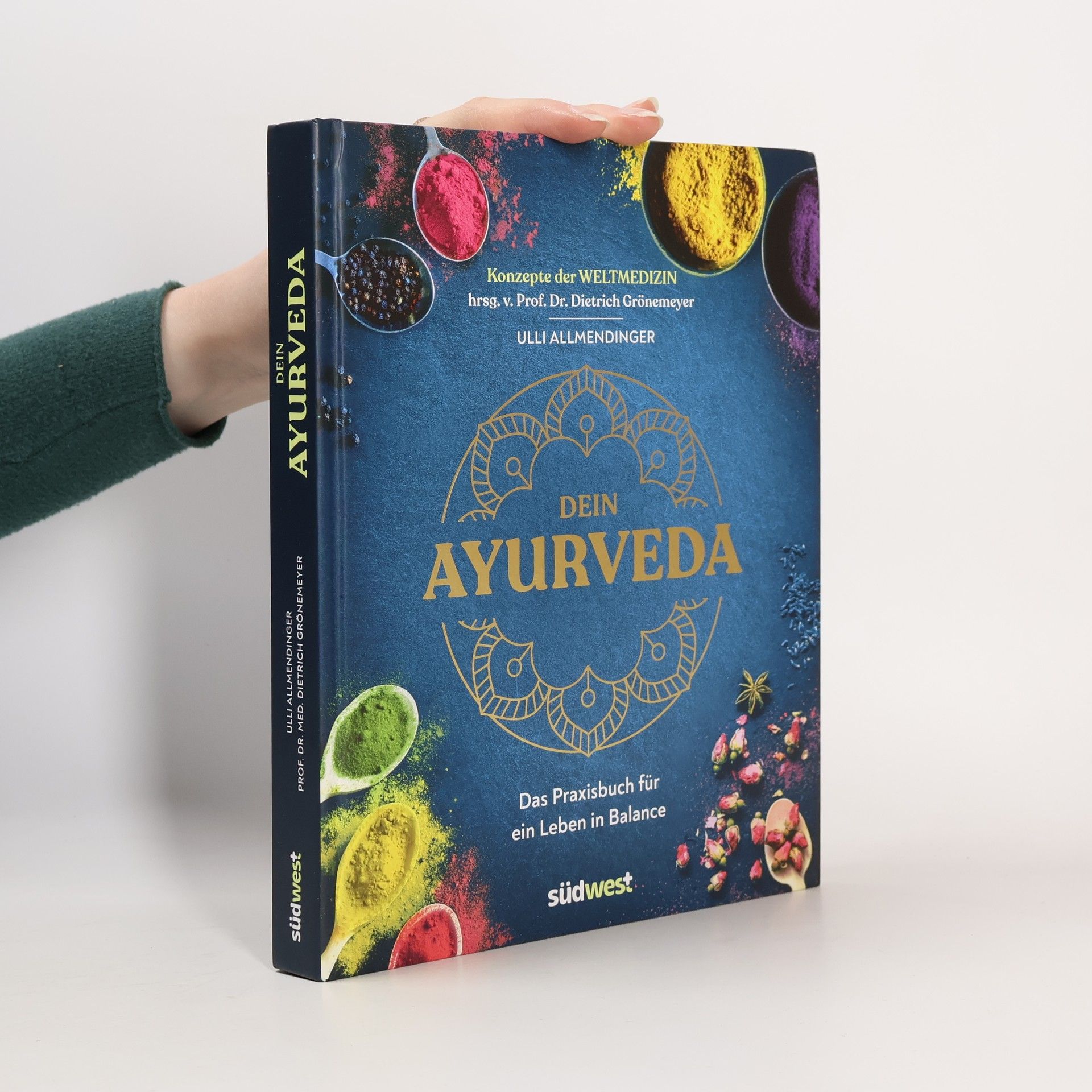 Ulli Allmendinger Dein Ayurveda. Das Praxisbuch für ein Leben in Balance