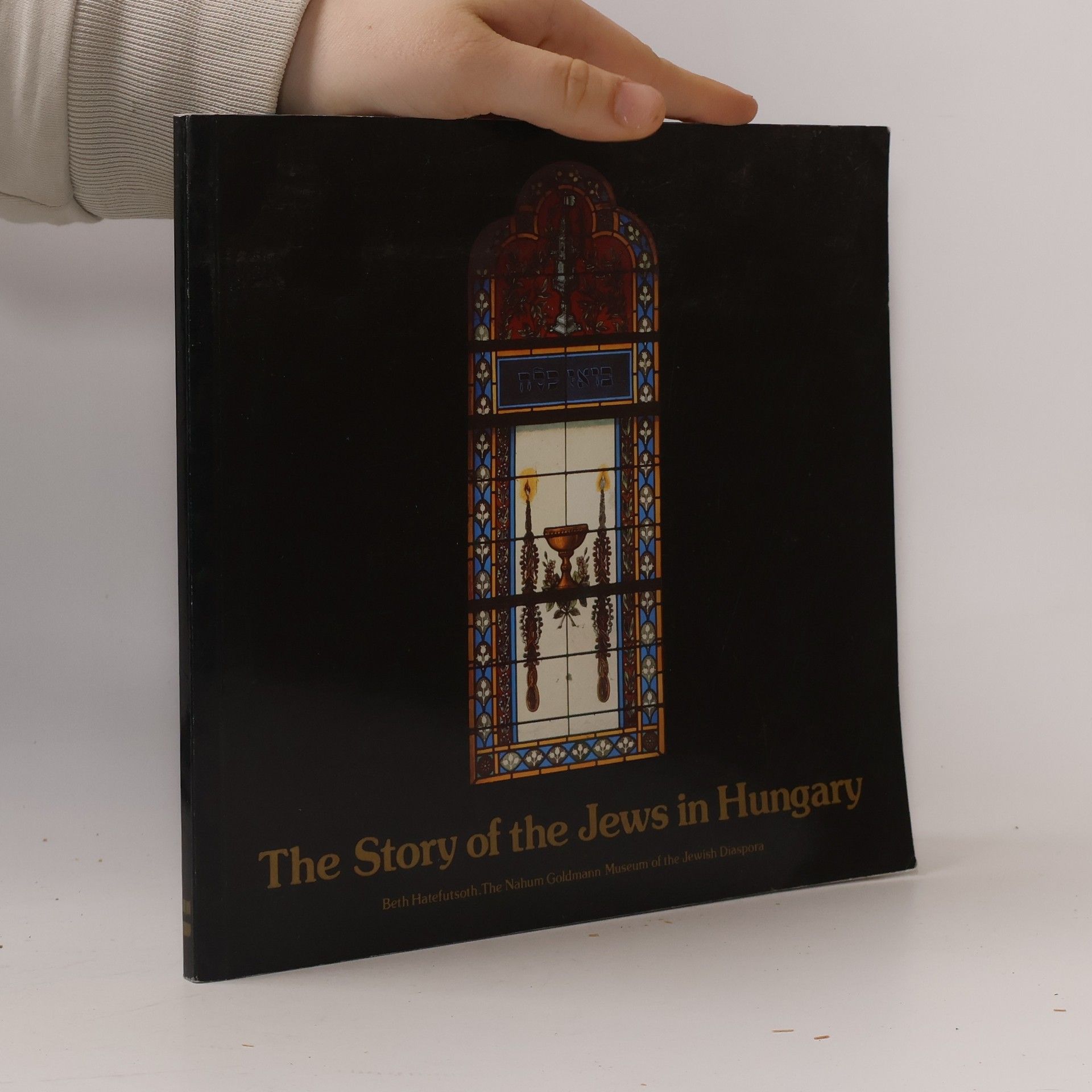 Various authors The Story of the Jews in Hungary