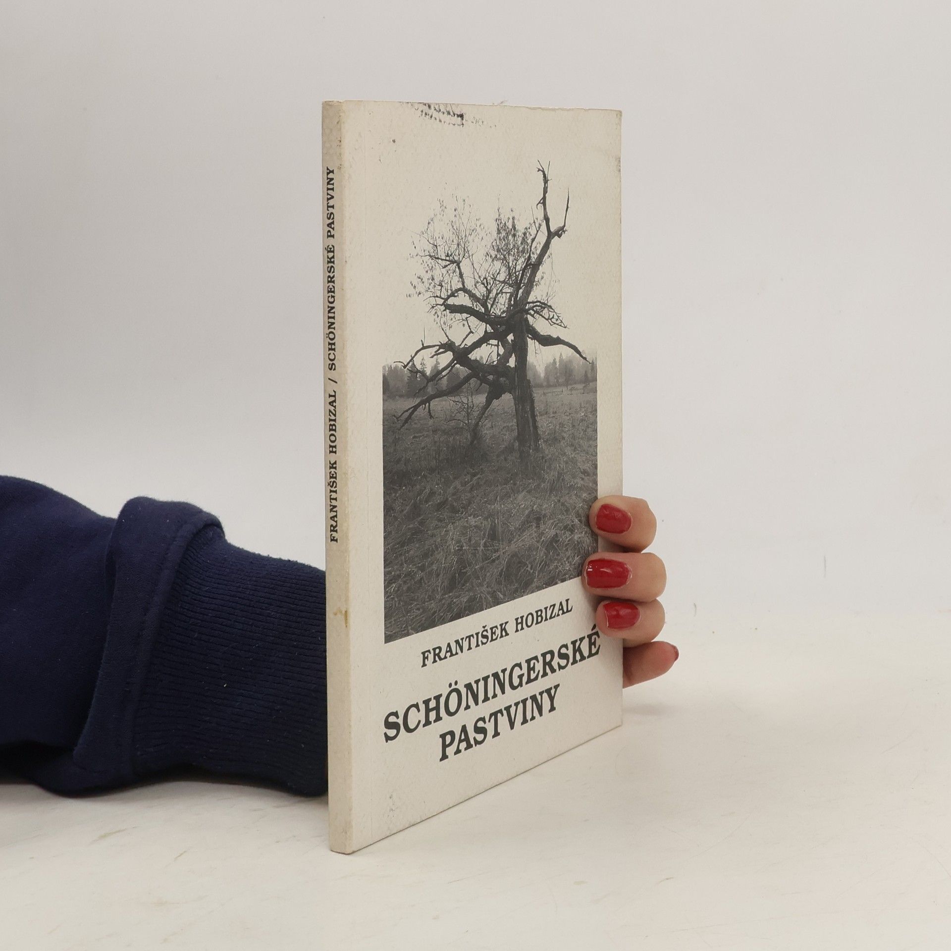 Schöningerské pastviny