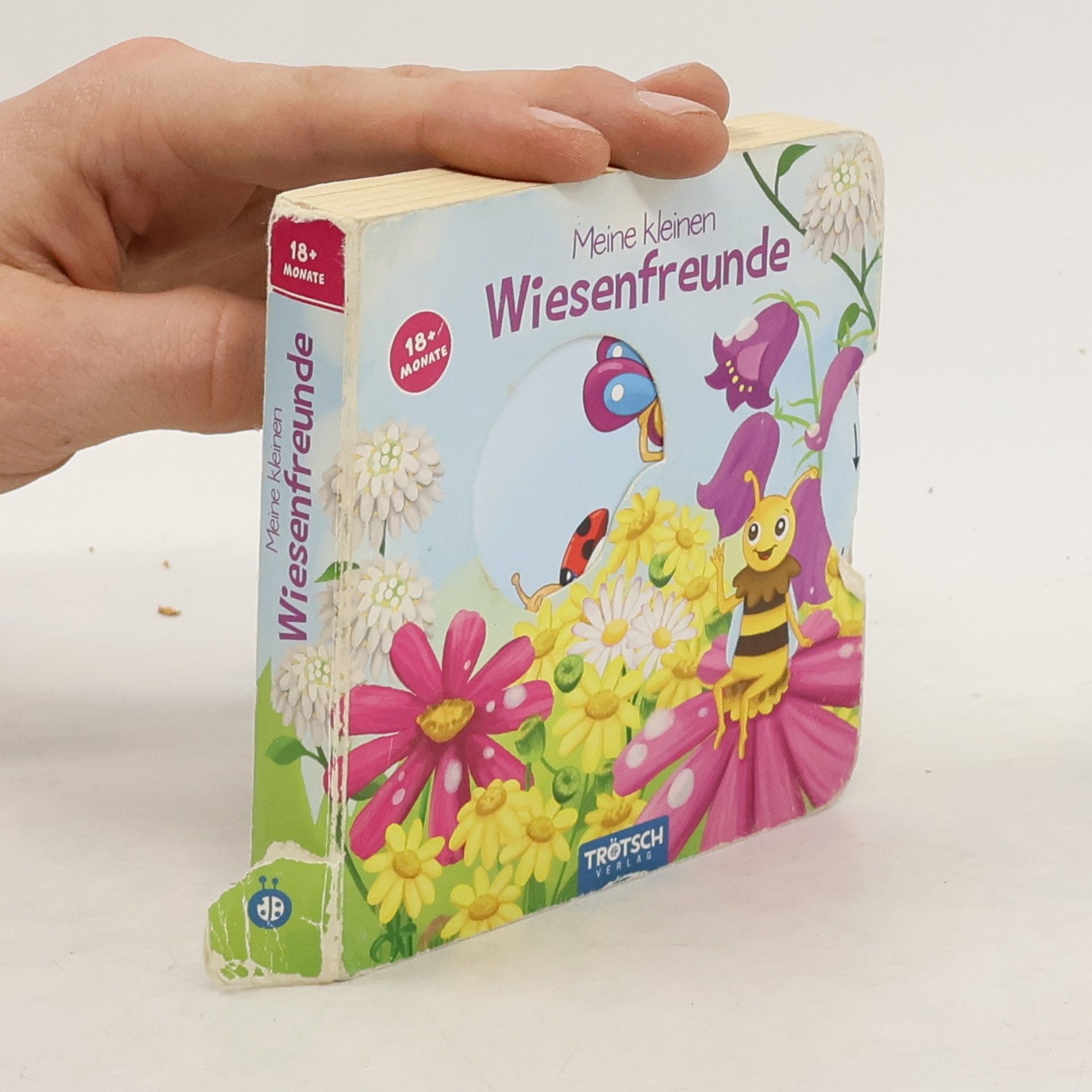 Meine kleinen Wiesenfreunde