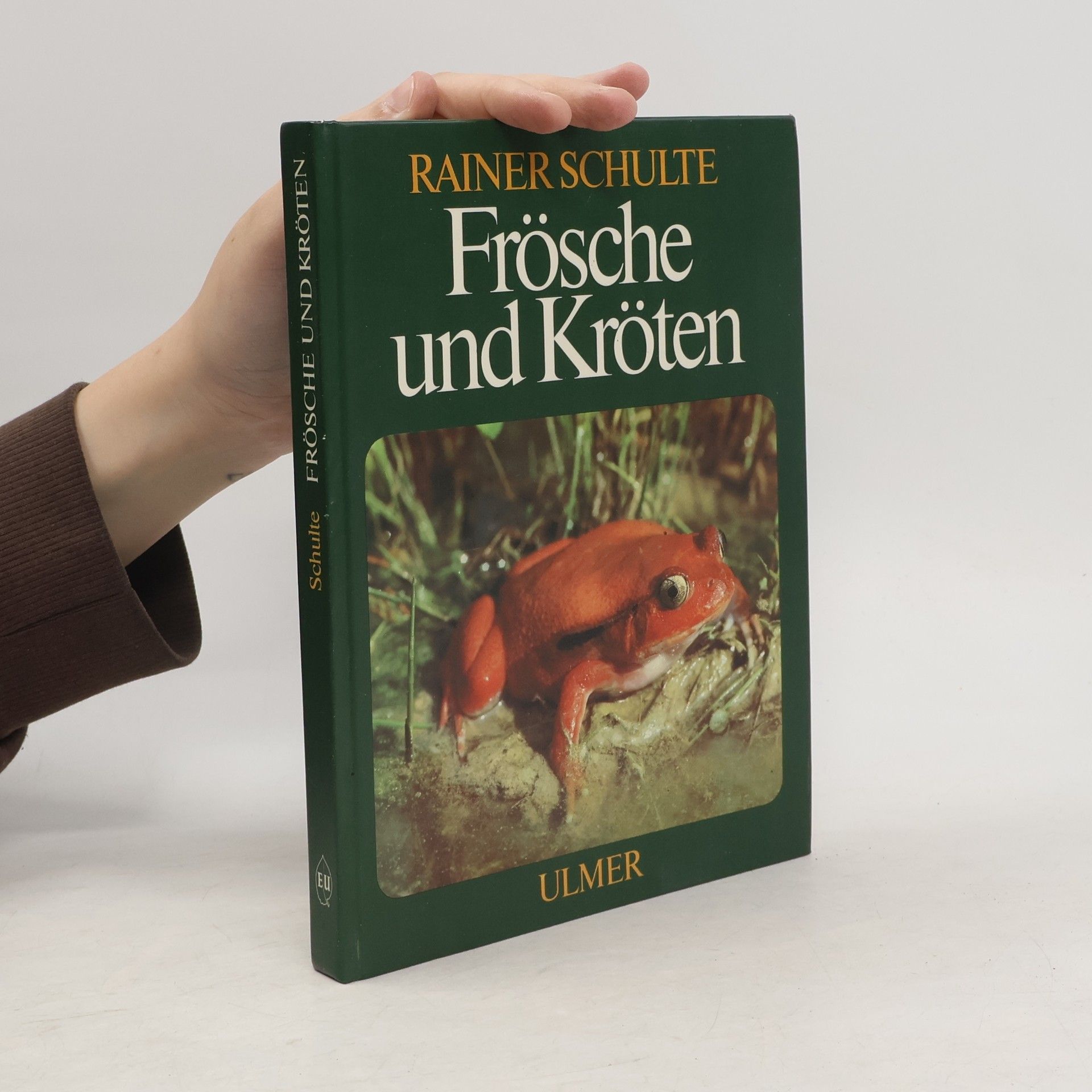 Rainer Schulte Frösche und Kröten