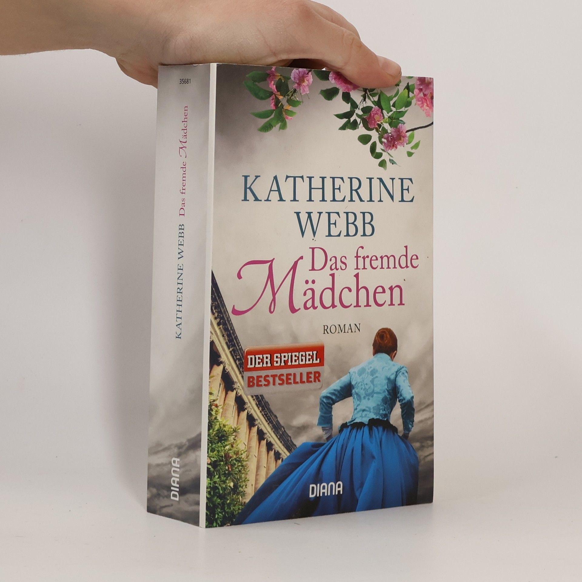 Katherine Webb Das fremde Mädchen
