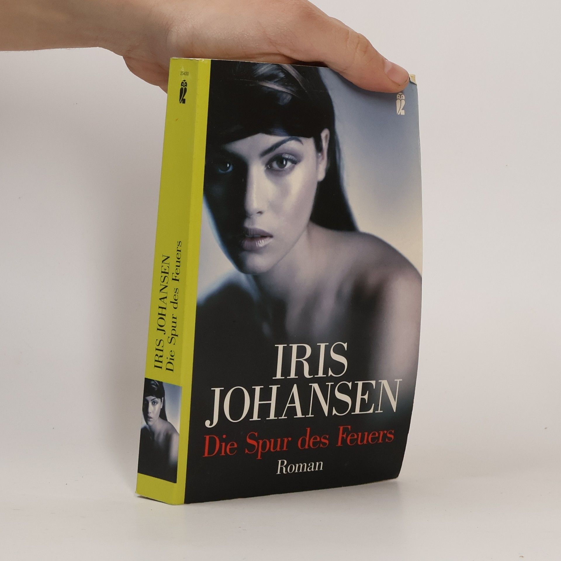 Iris Johansen Die Spur des Feuers