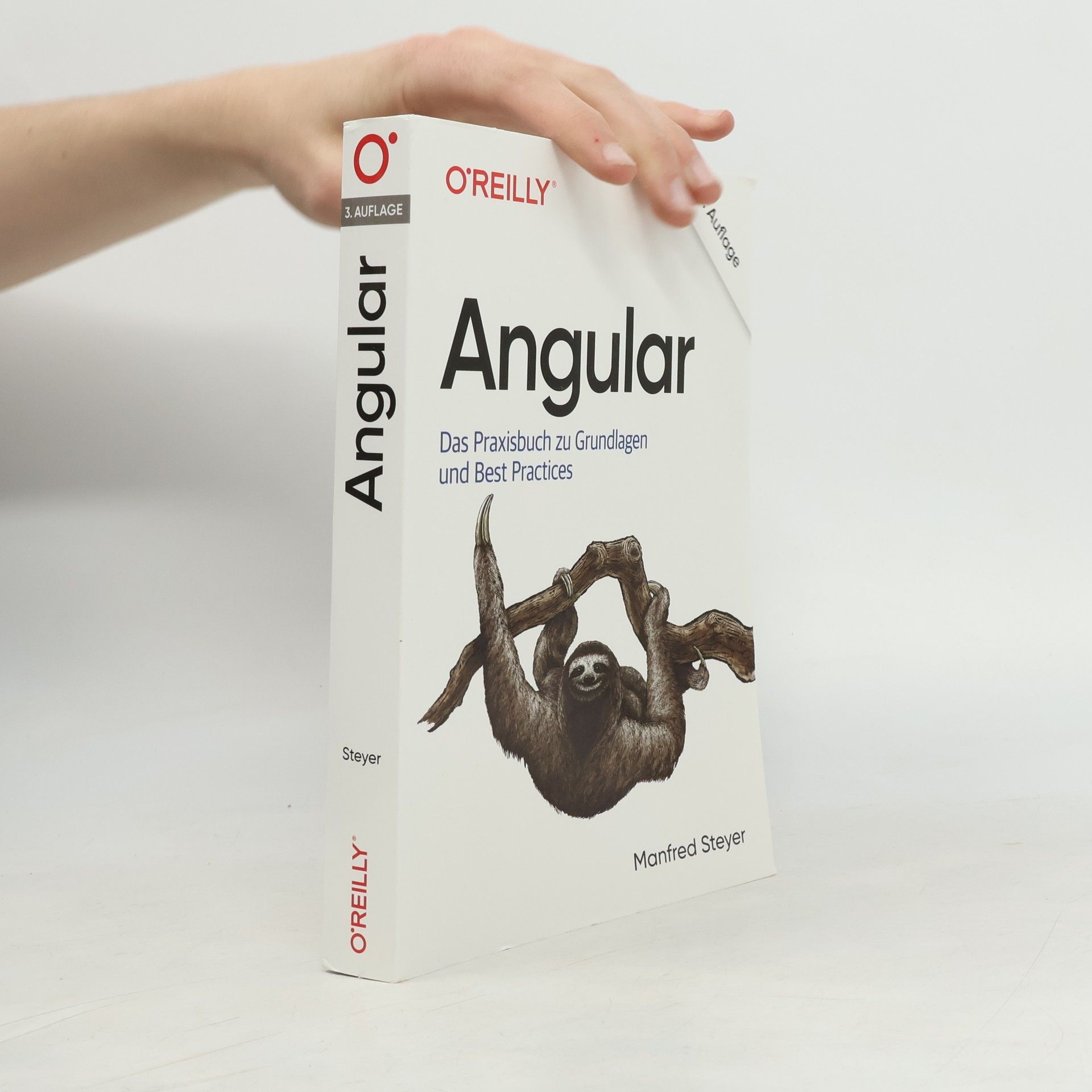 Manfred Steyer Angular