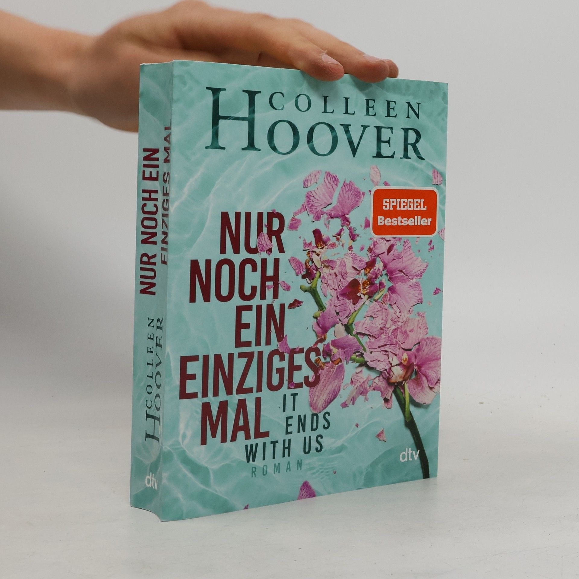 Colleen Hoover Nur noch ein einziges Mal
