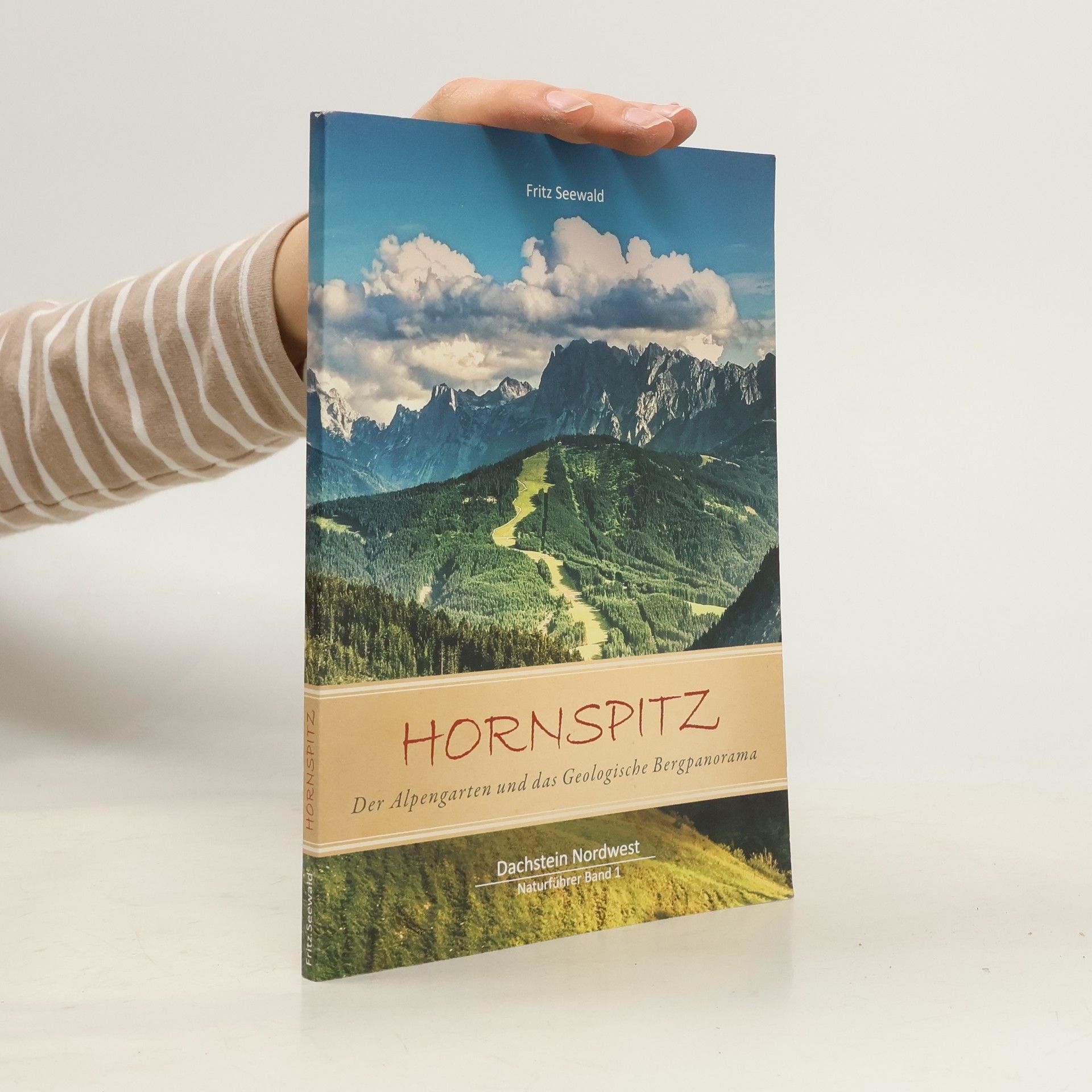 Fritz Seewald Der Alpengarten und das geologische Bergpanorama am Rußbacher/Gosauer Hornspitz