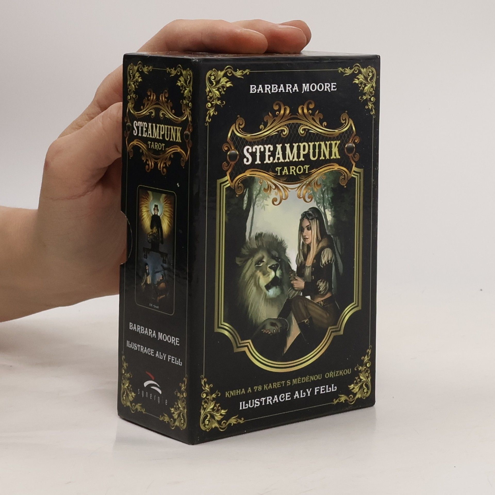 Barbara Moore Steampunk tarot