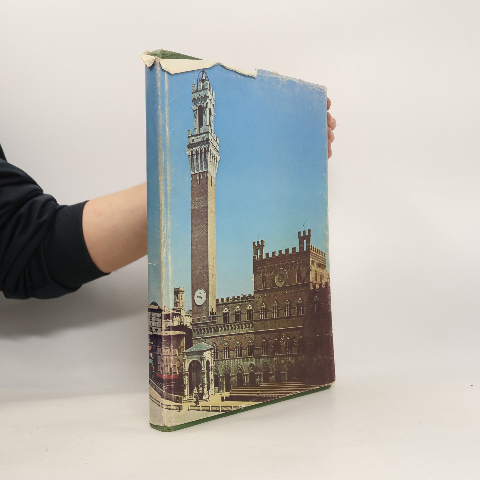 Virgilio Grassi Le Contrade di Siena e le loro feste II