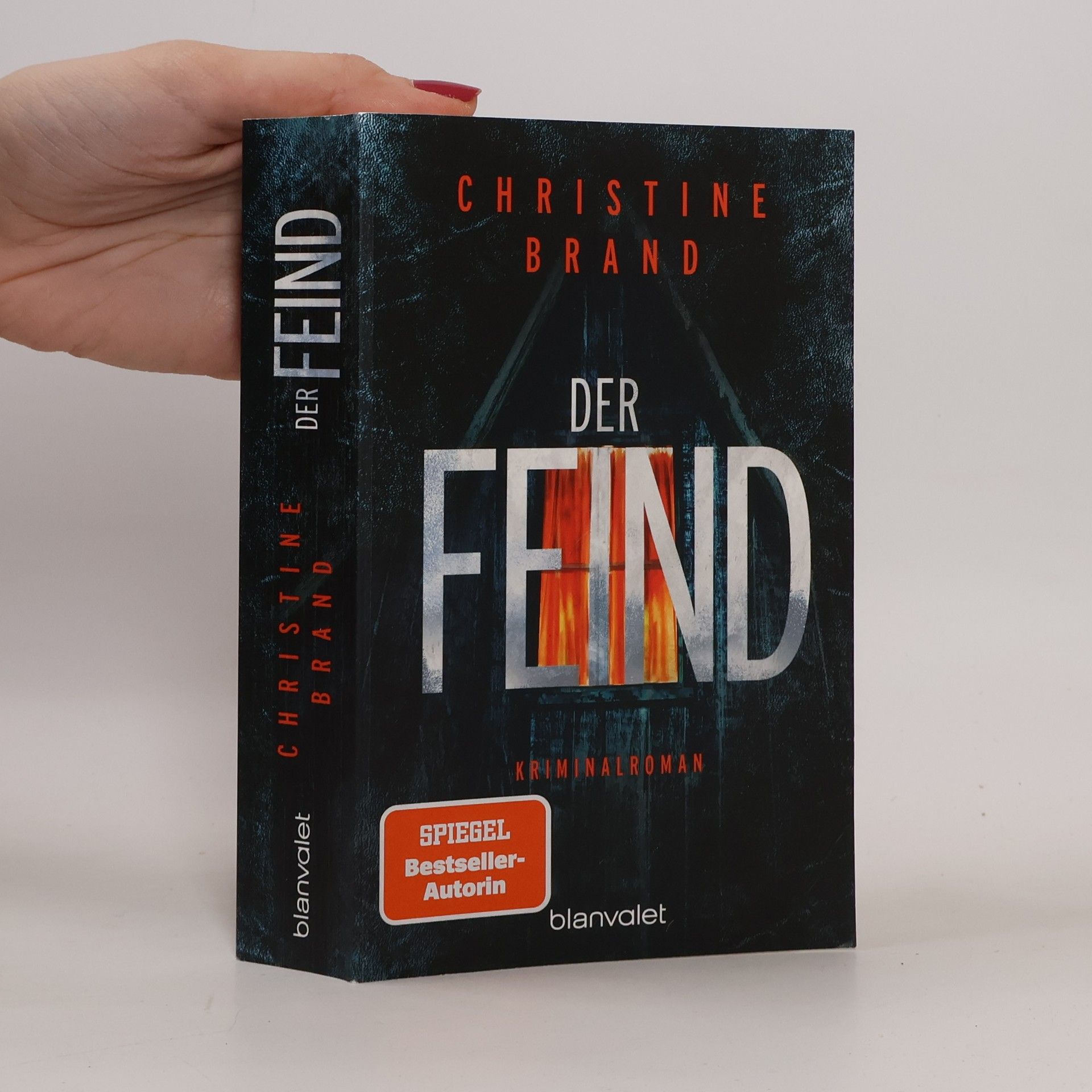 Christine Brand Der Feind