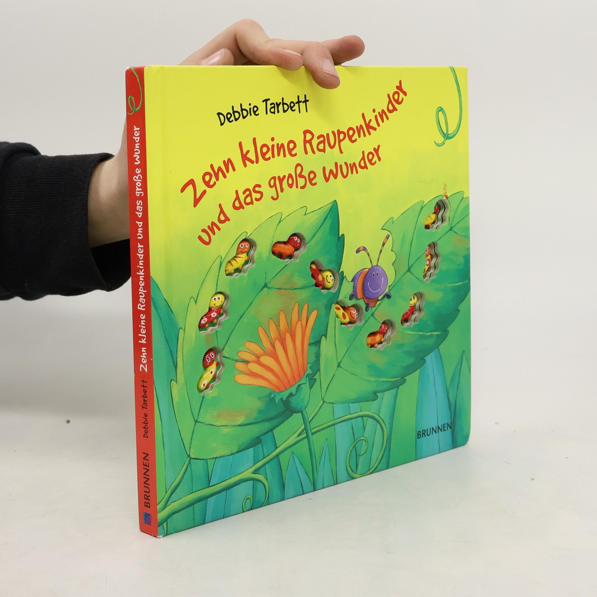 Debbie Tarbett Zehn kleine Raupenkinder und das große Wunder