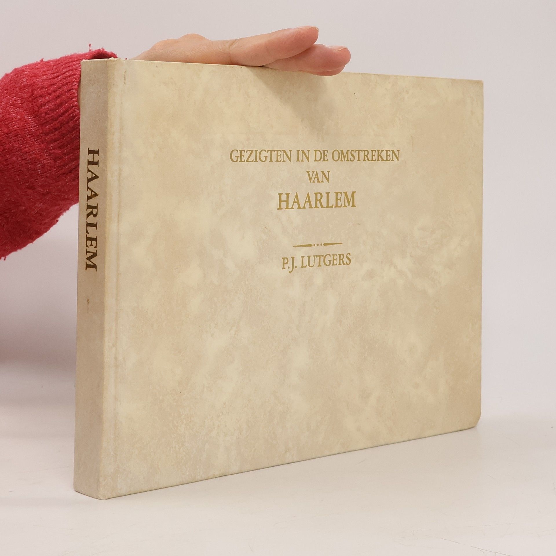 P. J. Lutgers Gezigten in de Omstreken van Haarlem