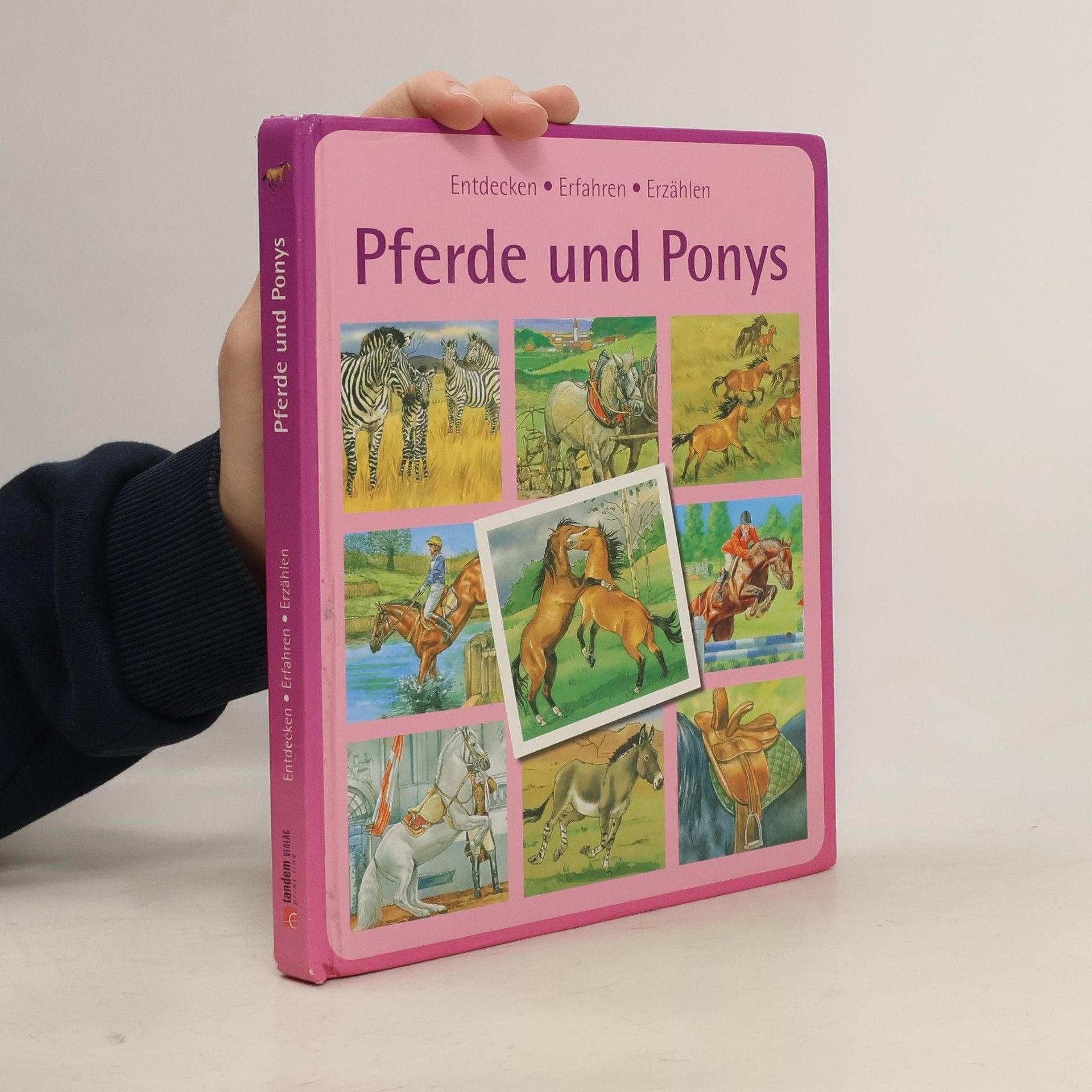 Autorenkollektiv Kinderwissen: Pferde und Ponys