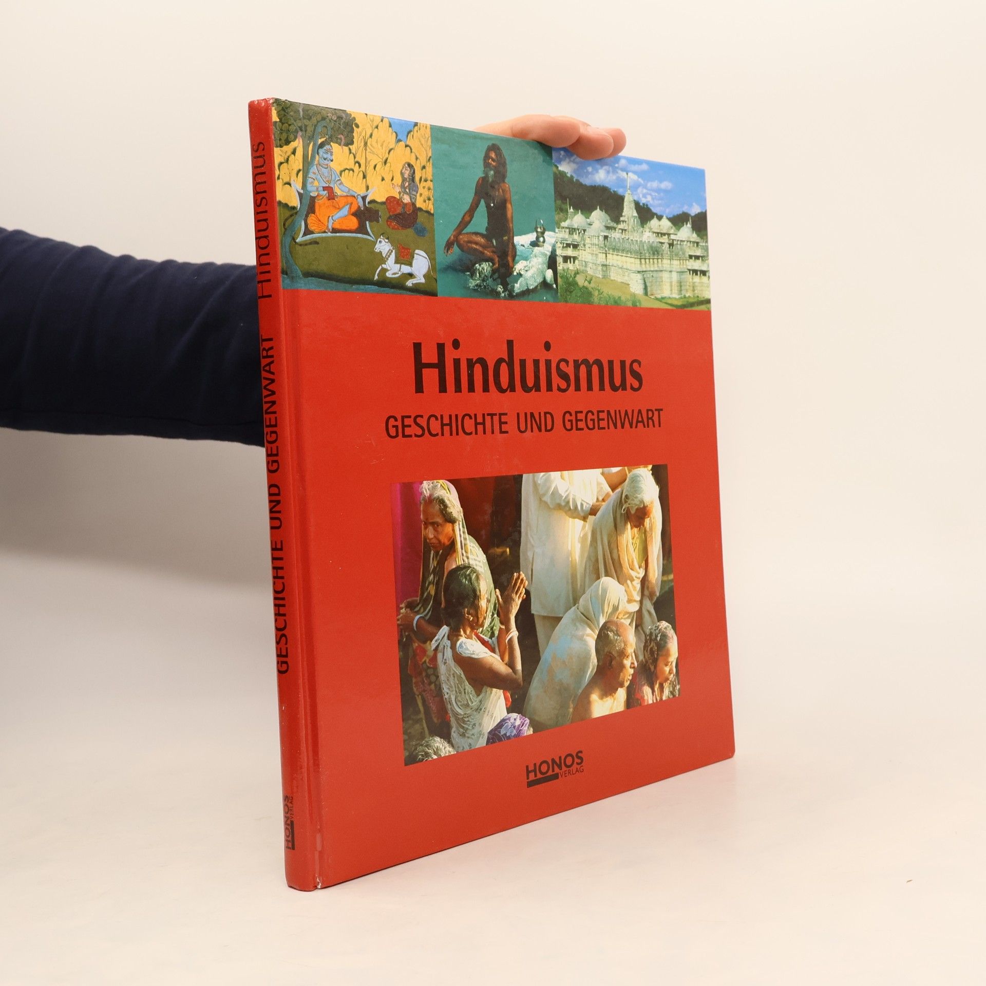 Autorenkollektiv Hinduismus. Geschichte und Gegenwart